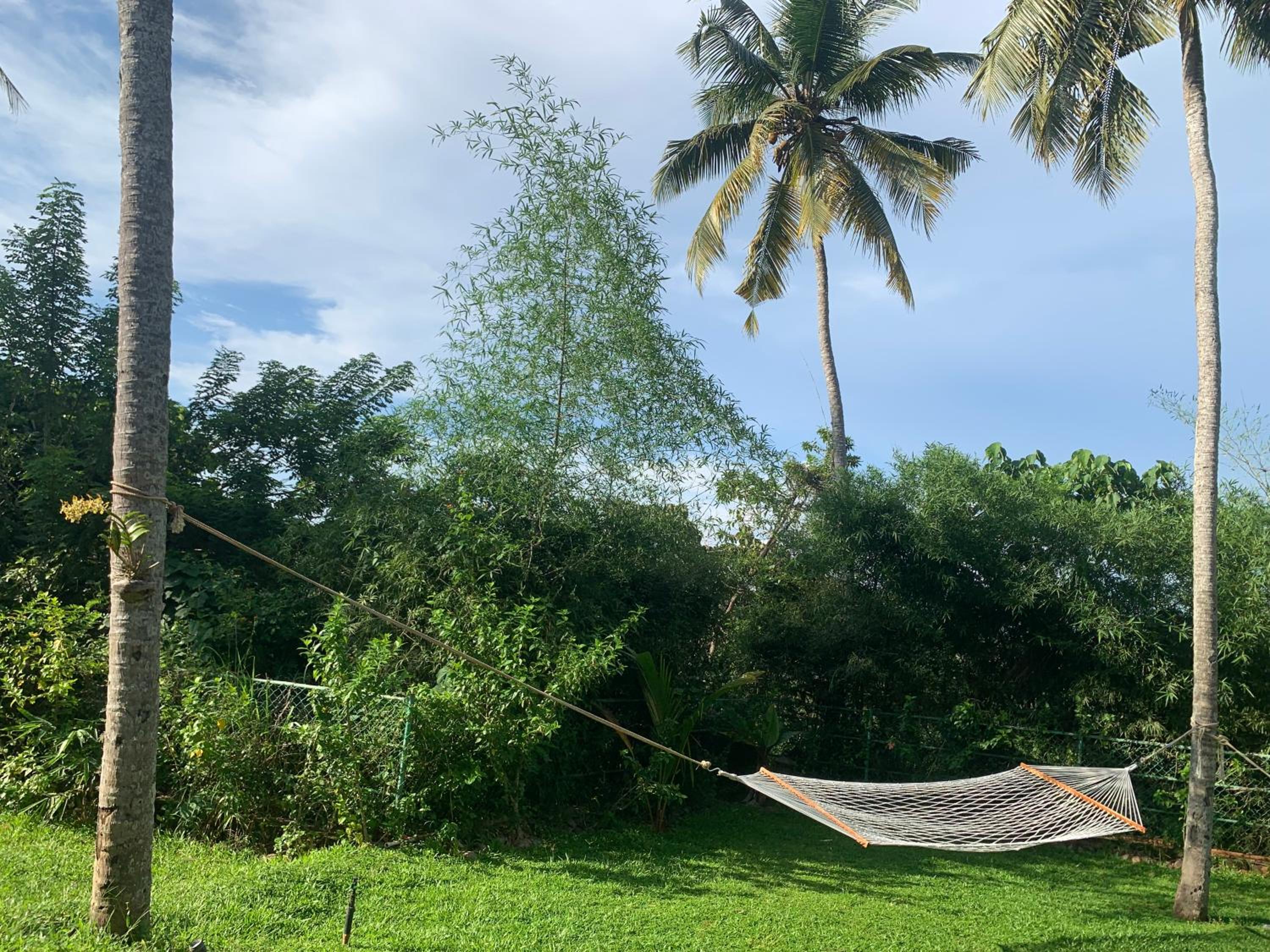 Kovalam Vacations - AMARA AYURVEDA RETREAT- Overlooking Evergreen Western Ghats an ecologically sustainable living space in Kovalam - Property Image 16
