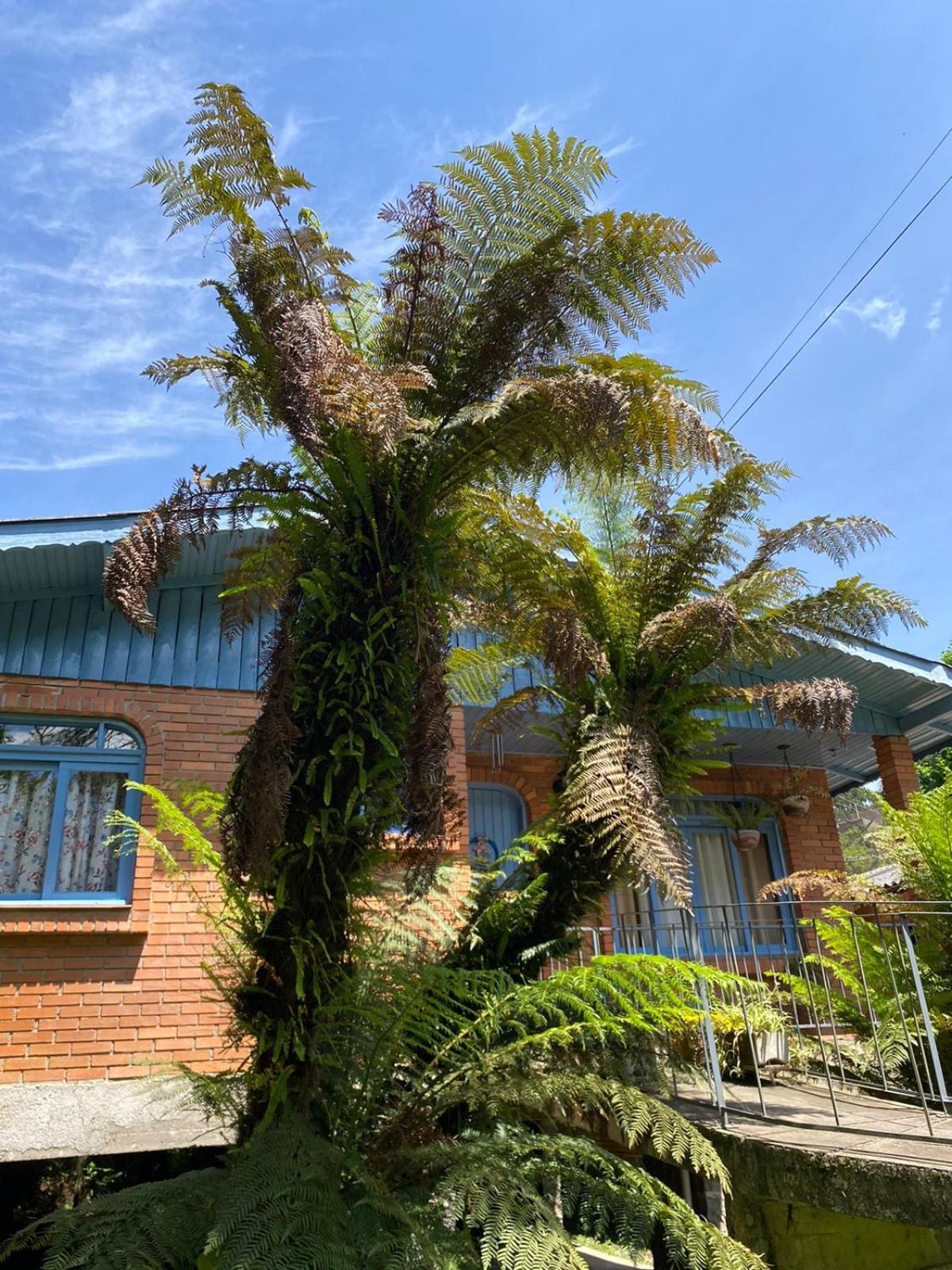 Casa da Vó Diva no Centro de Gramado