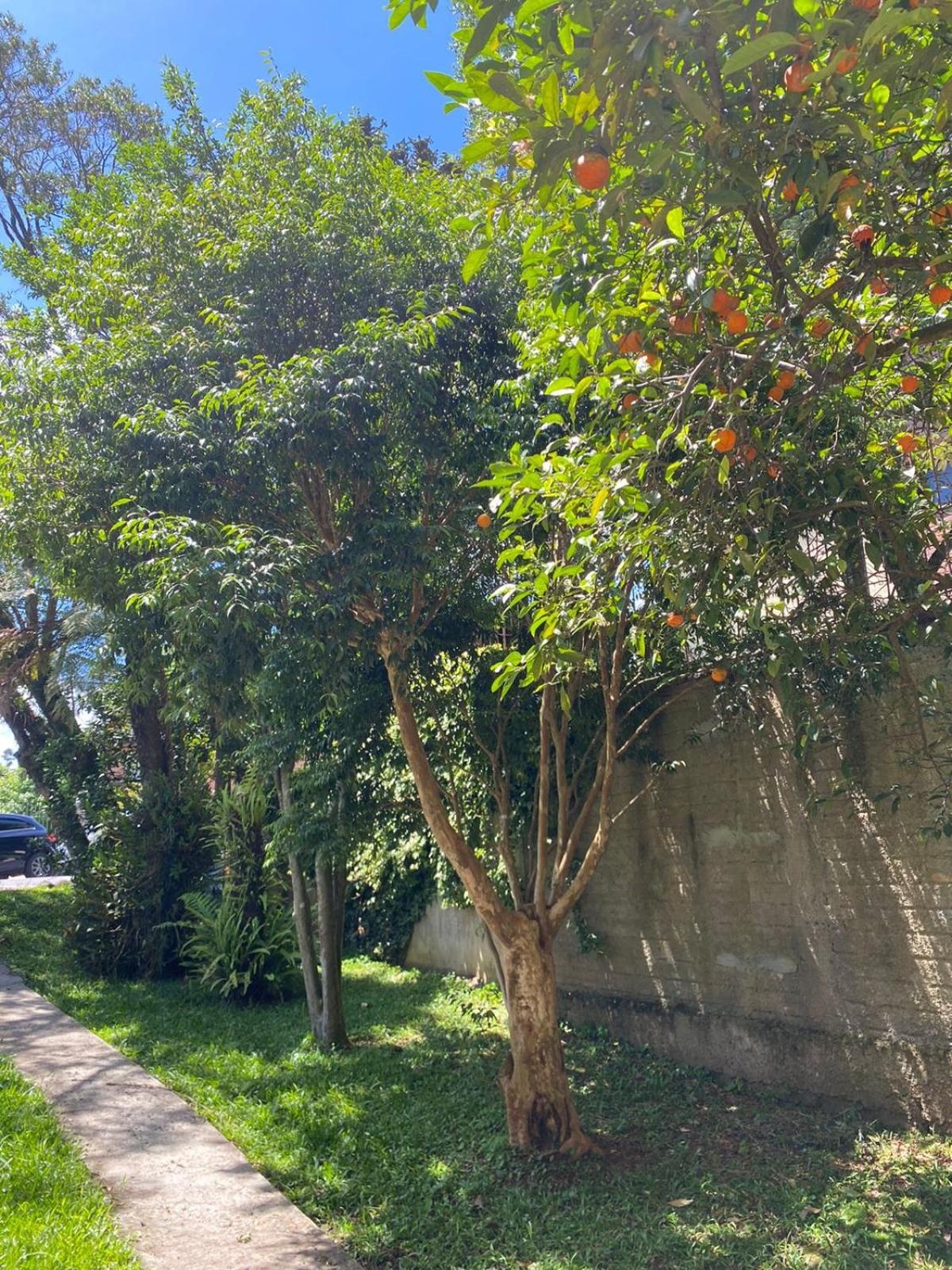 Casa da Vó Diva no Centro de Gramado