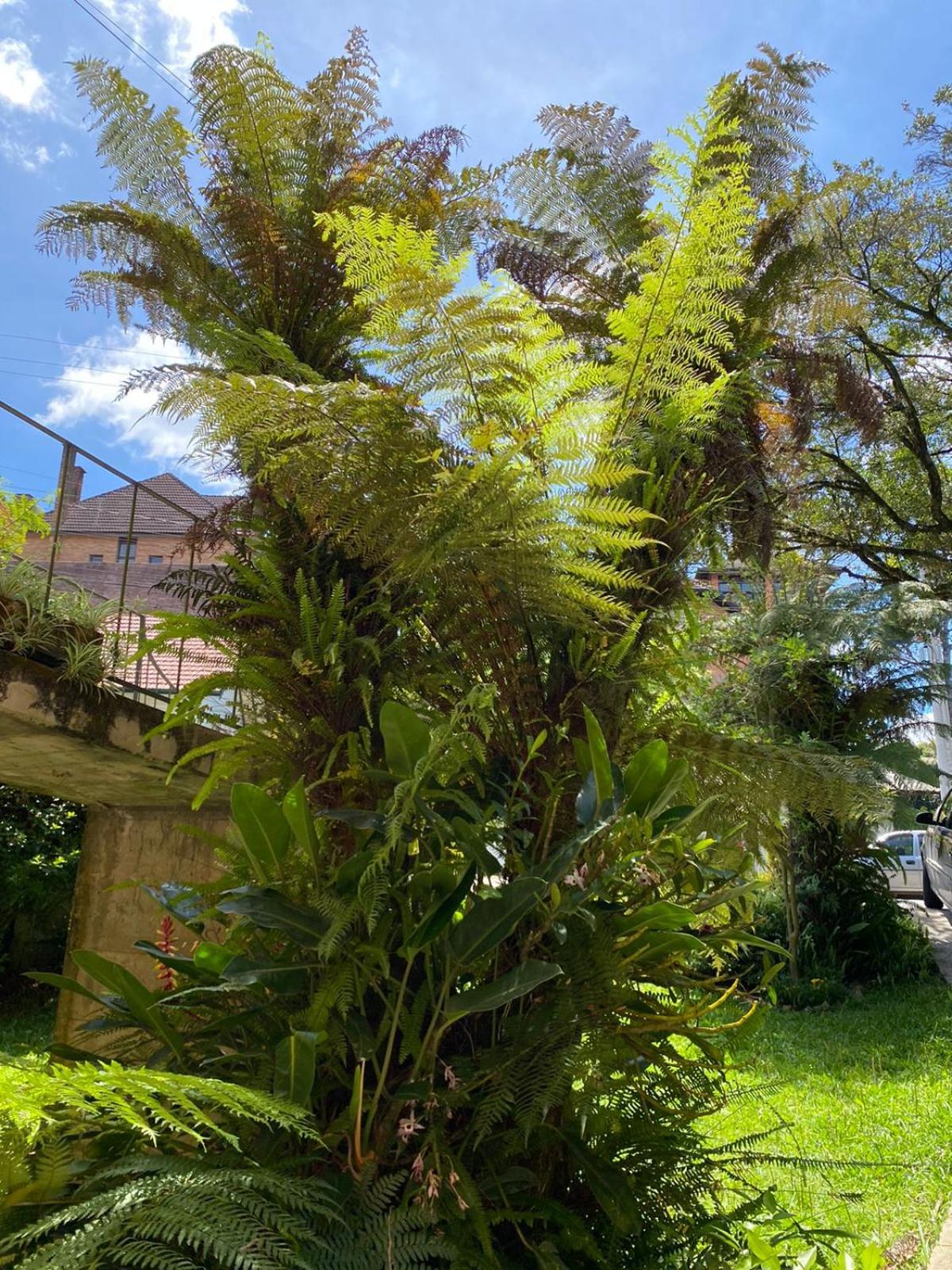 Casa da Vó Diva no Centro de Gramado
