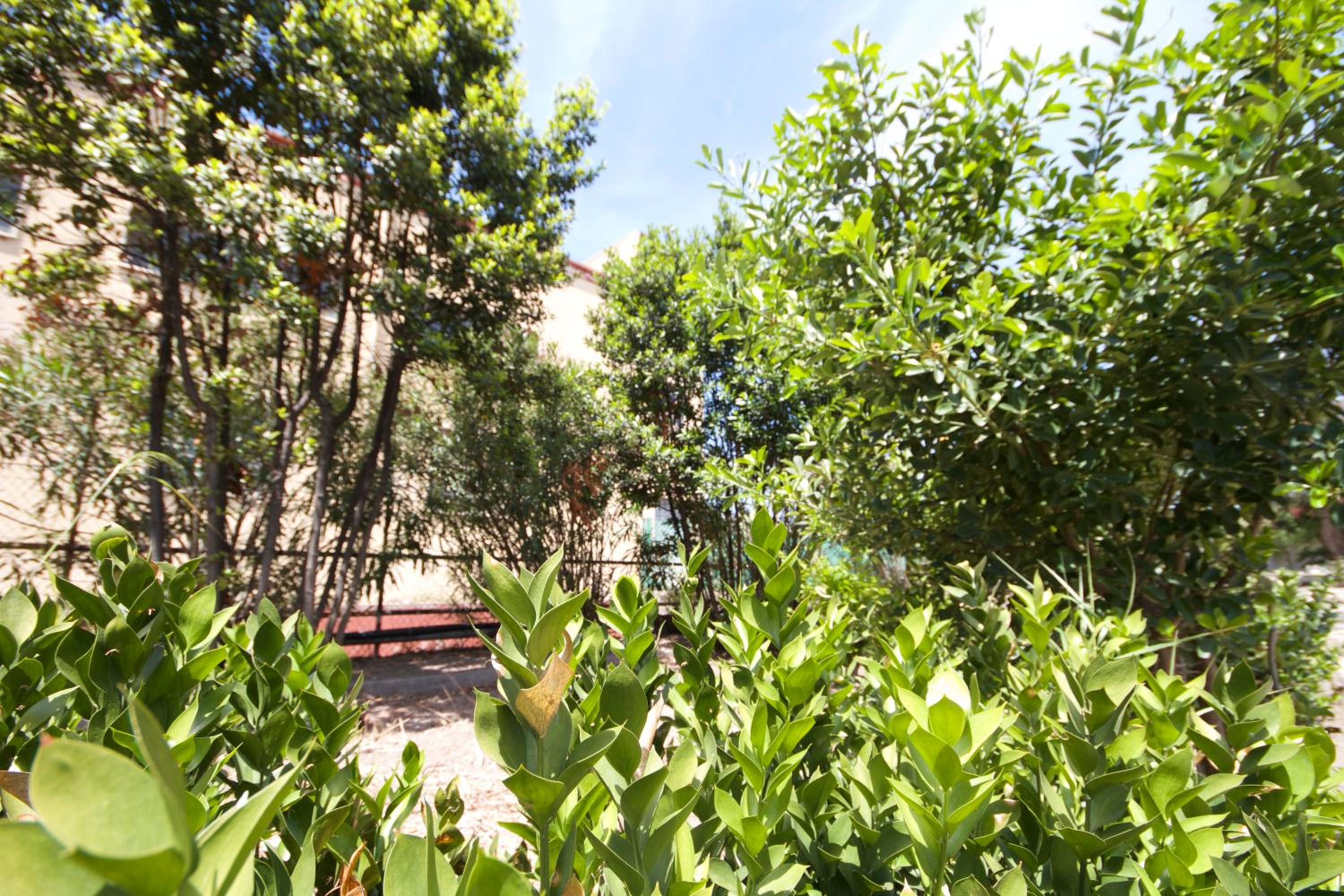 Photo 43