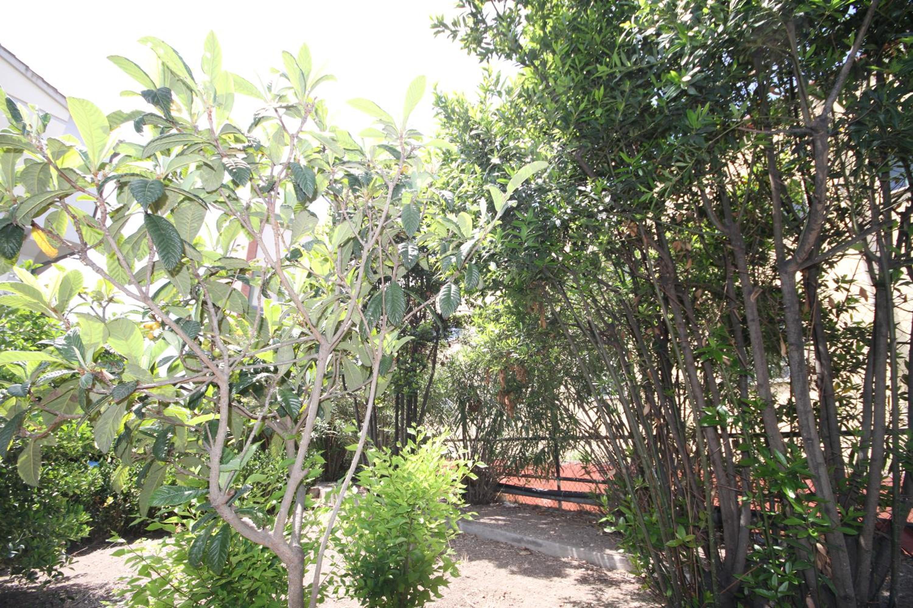 Photo 44