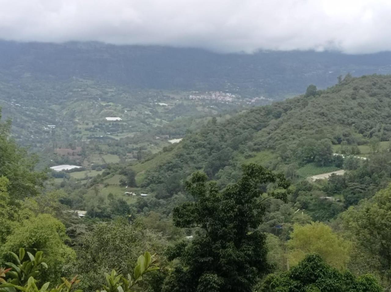 El Refugio del Oso de Anteojos