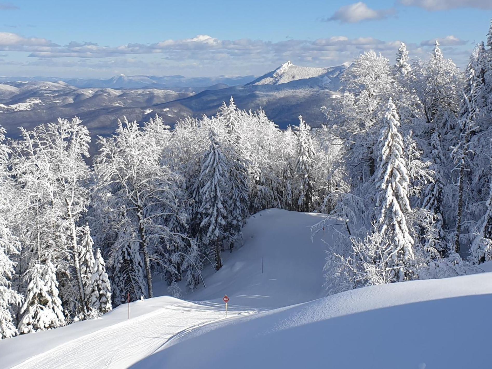 Olimpijska kuca A