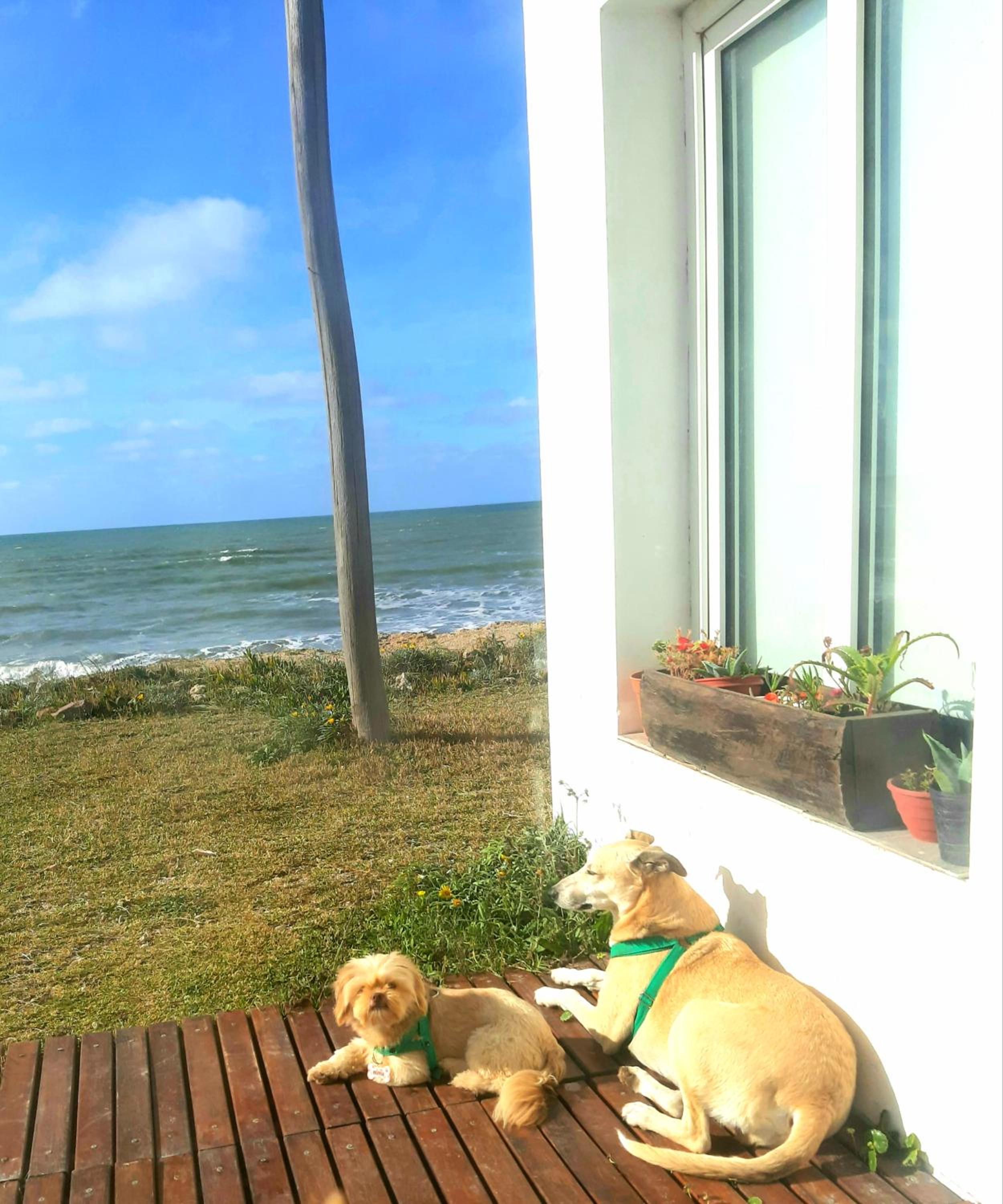 Masia del Viento