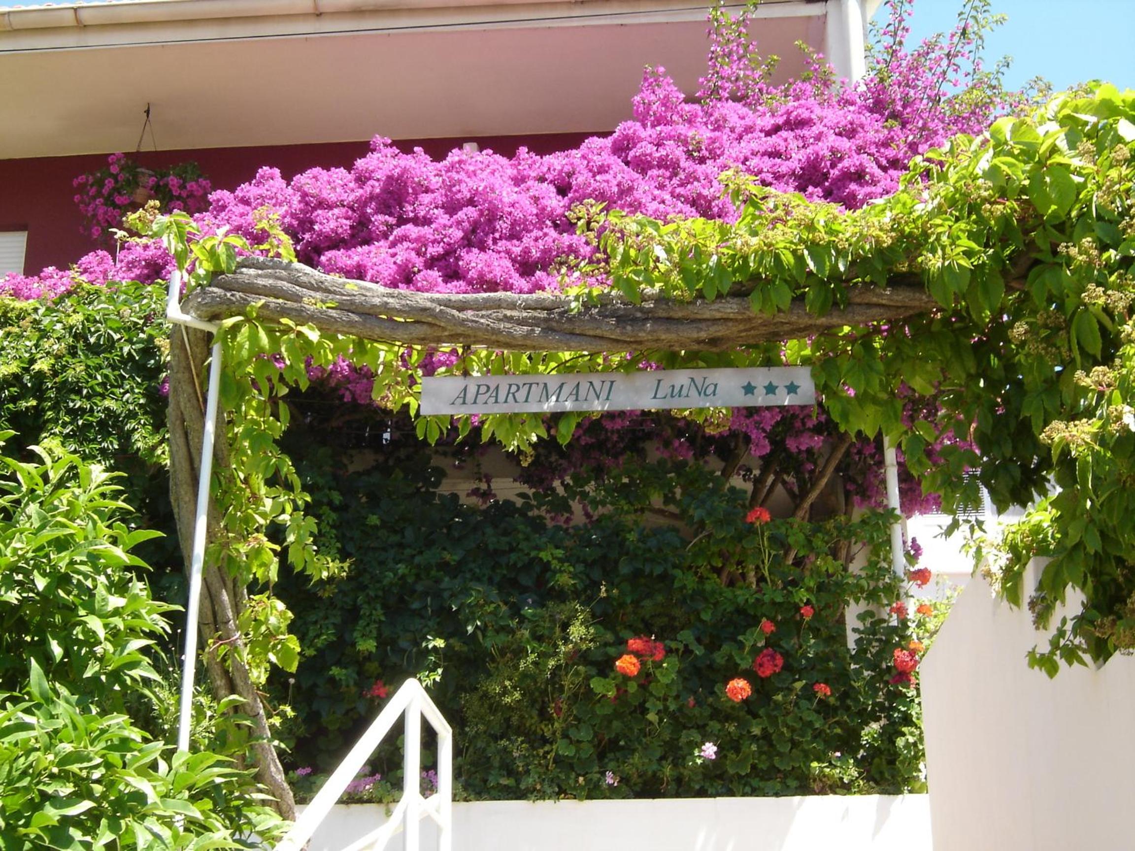 Apartmani LuNa