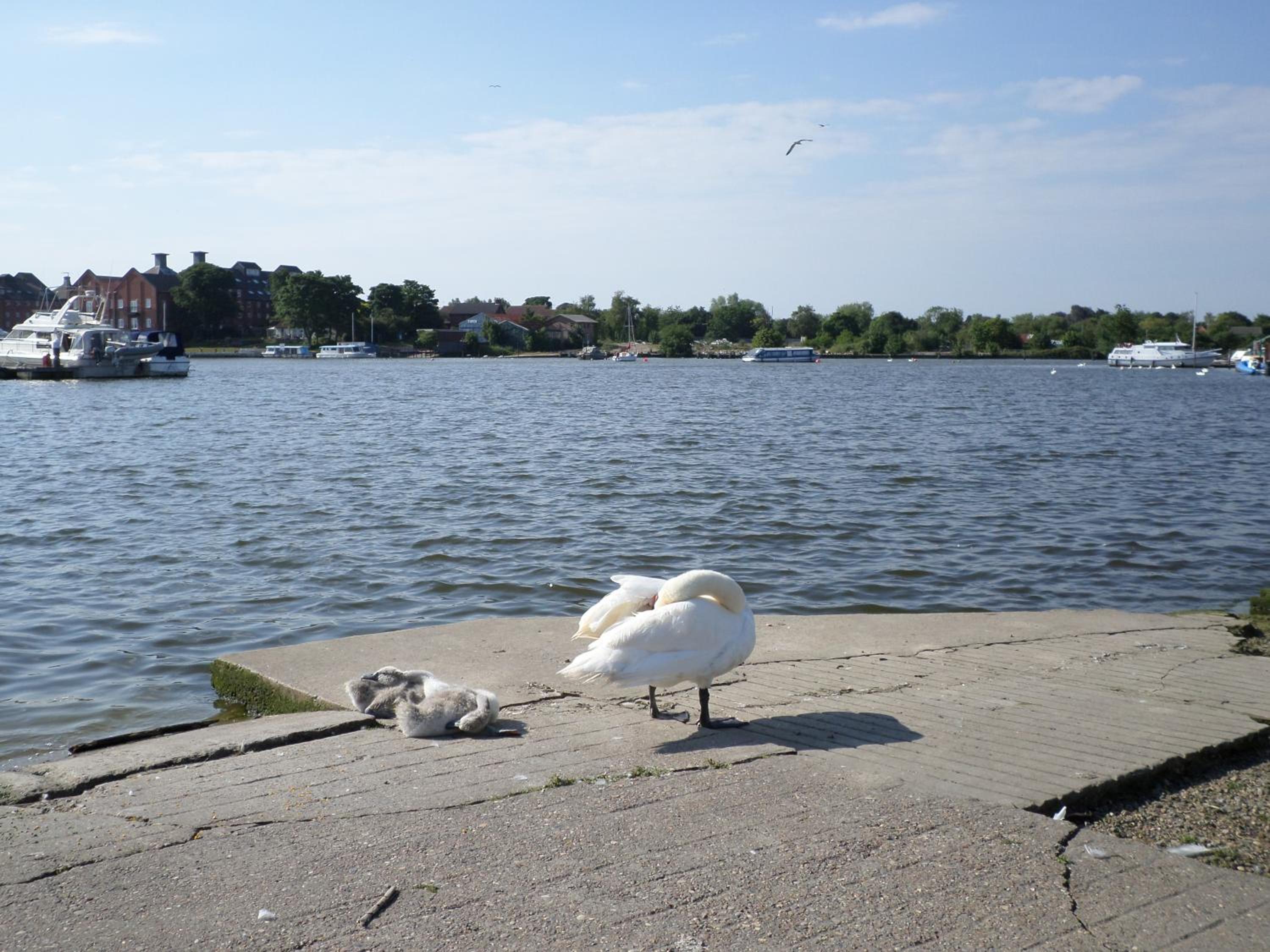 Photo 25