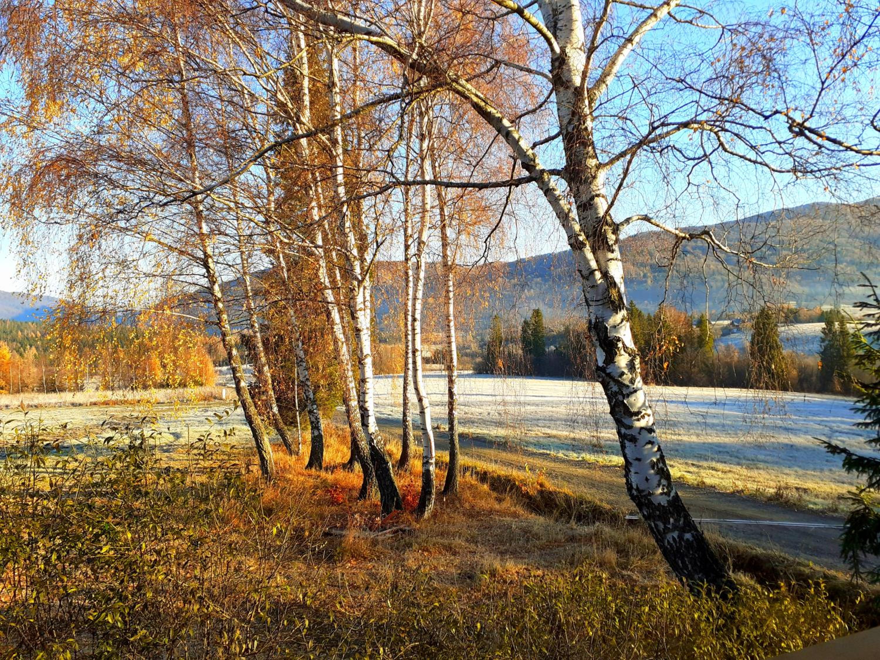 Photo 47