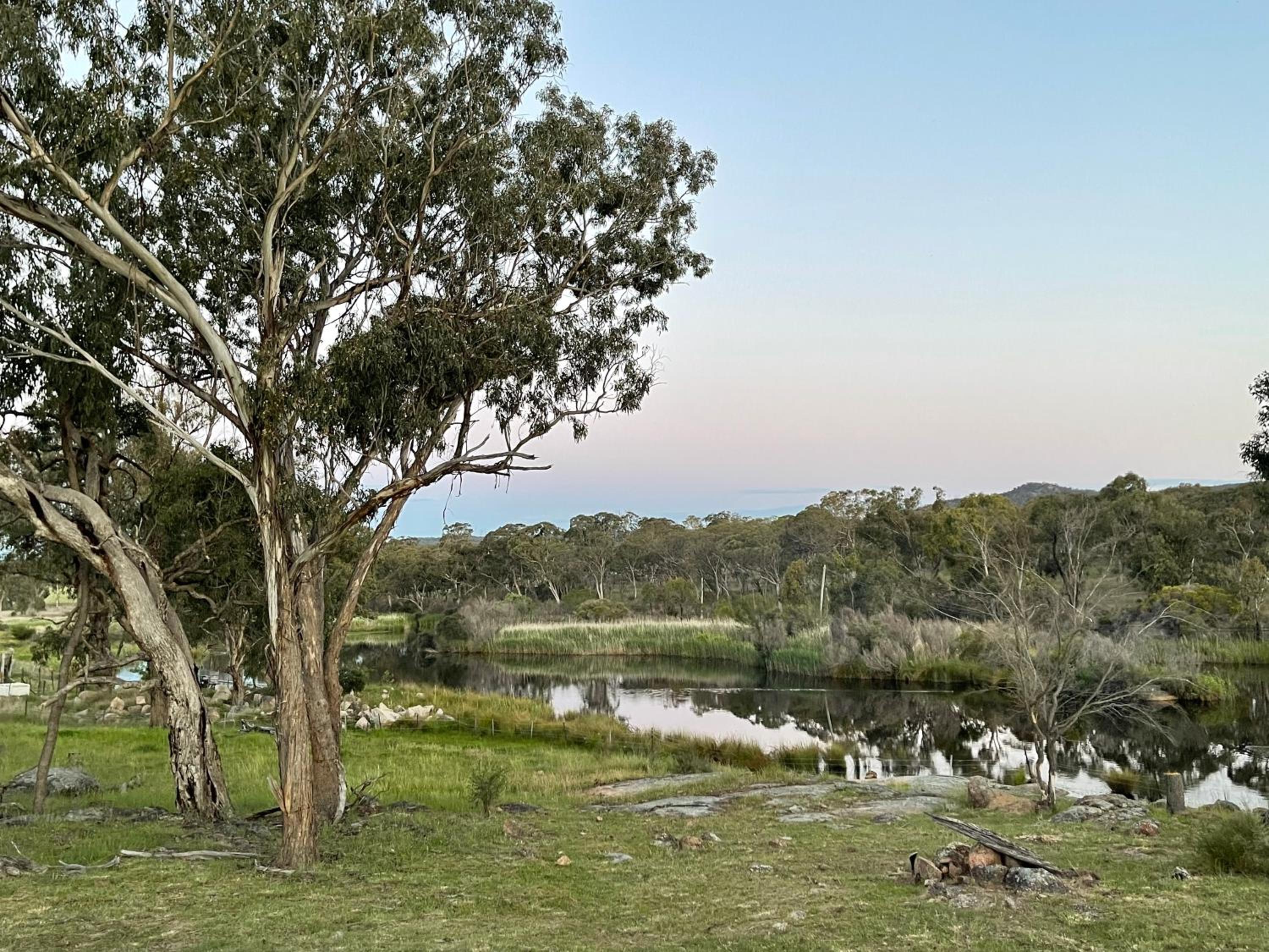Serenità Stanthorpe view 5