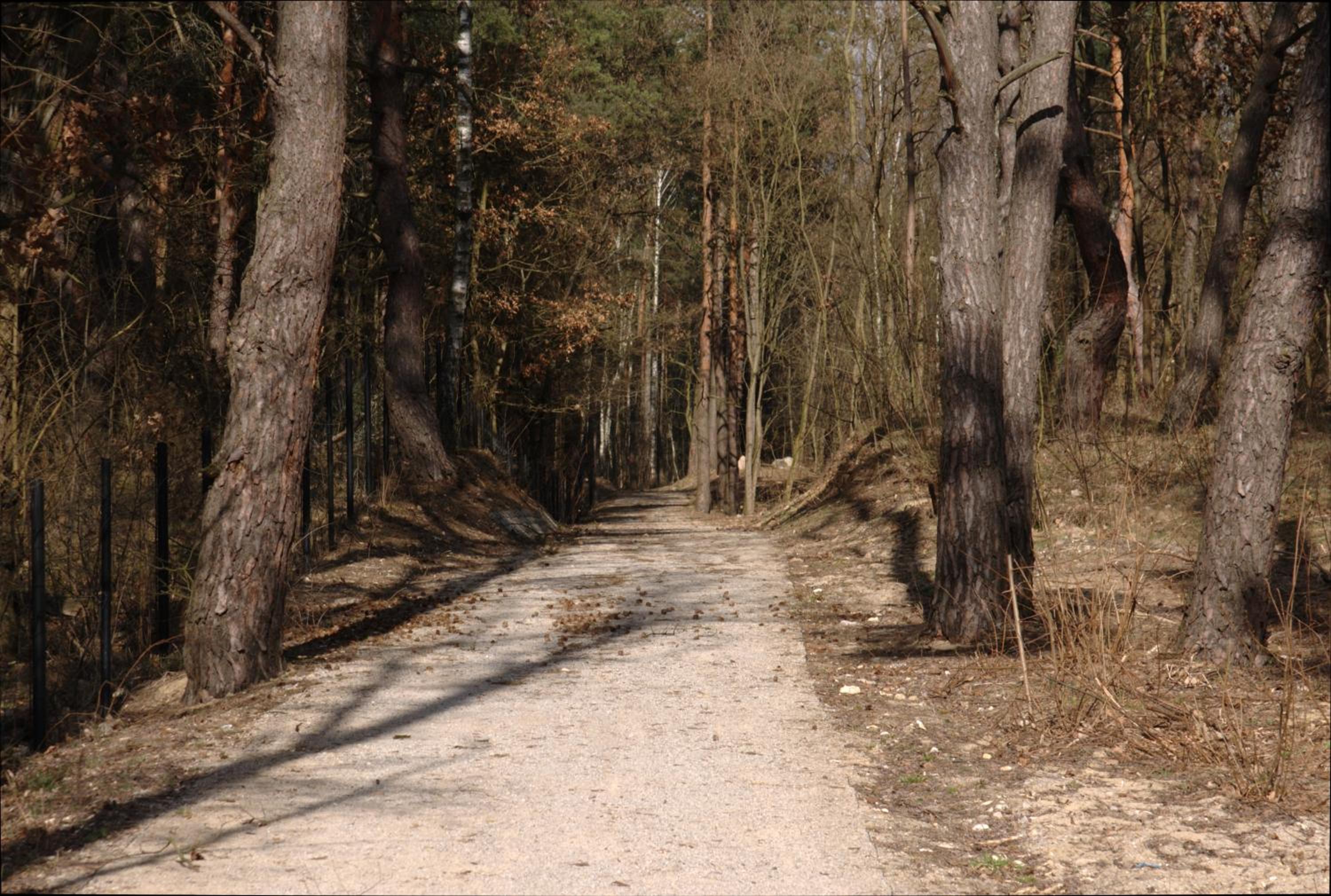 Photo 45