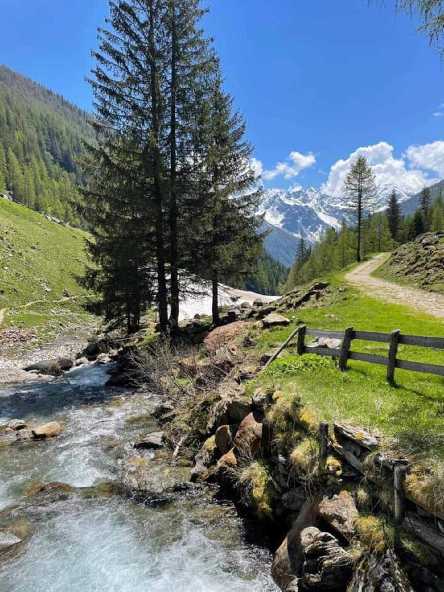 La Tana del Gufetto