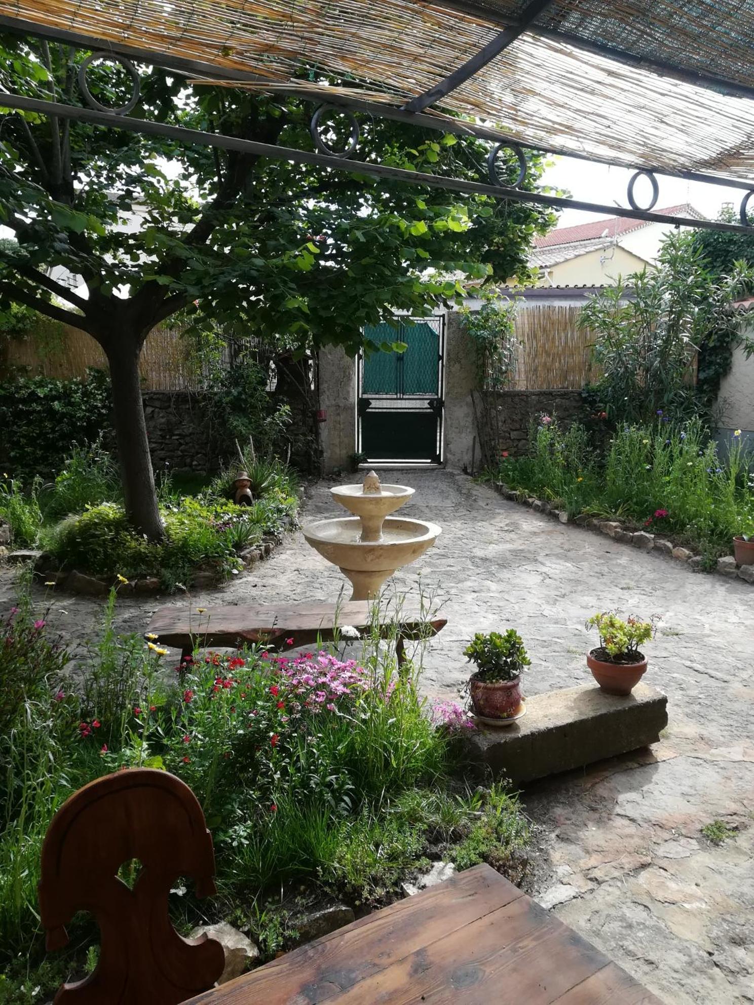 Photo 6