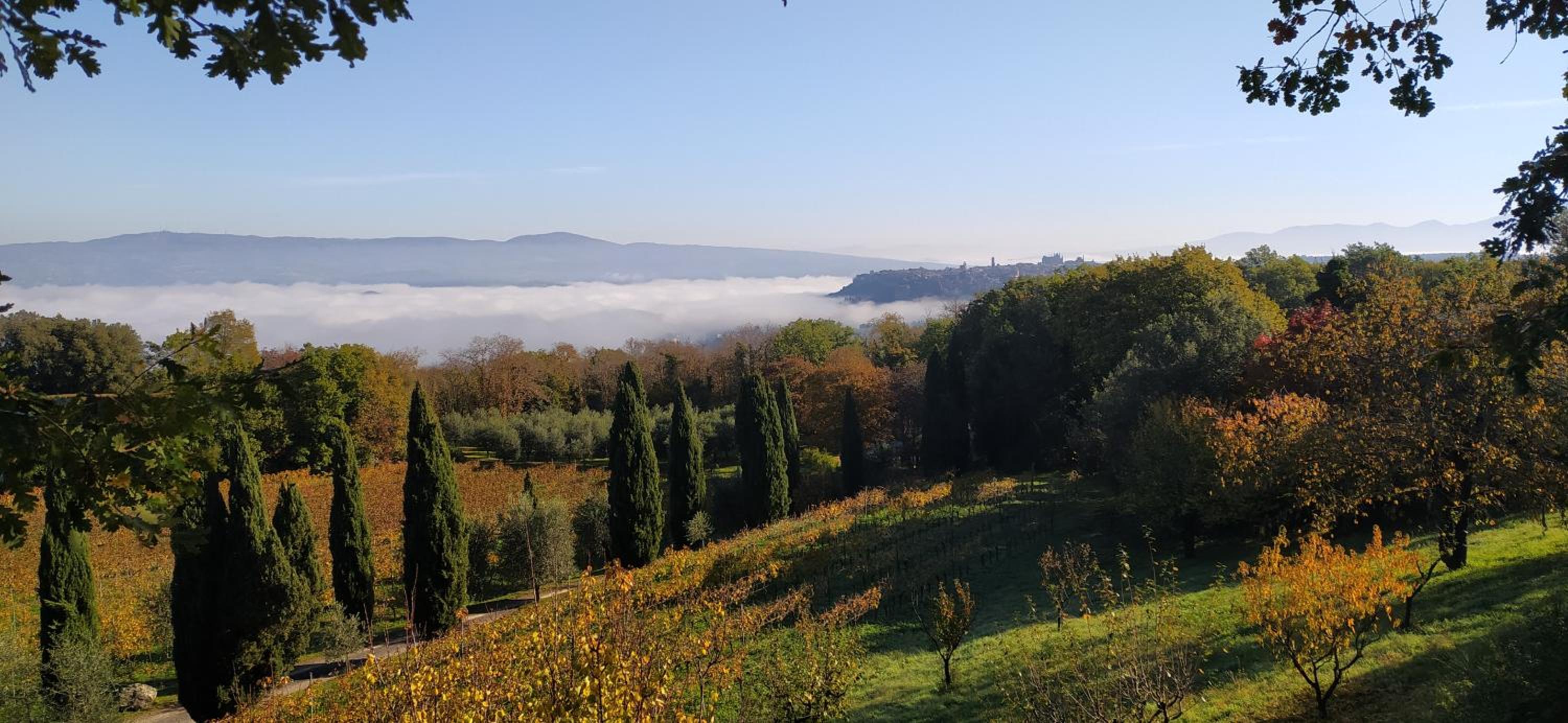 La Chiusetta
