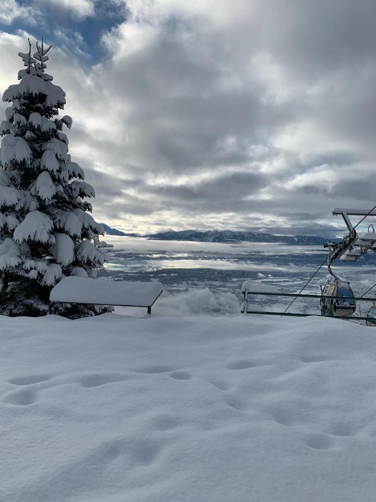 Hundefreundliche Bergwohnung neben der Skipiste - Mittelstation Skigebiet Gerlitzen view 2