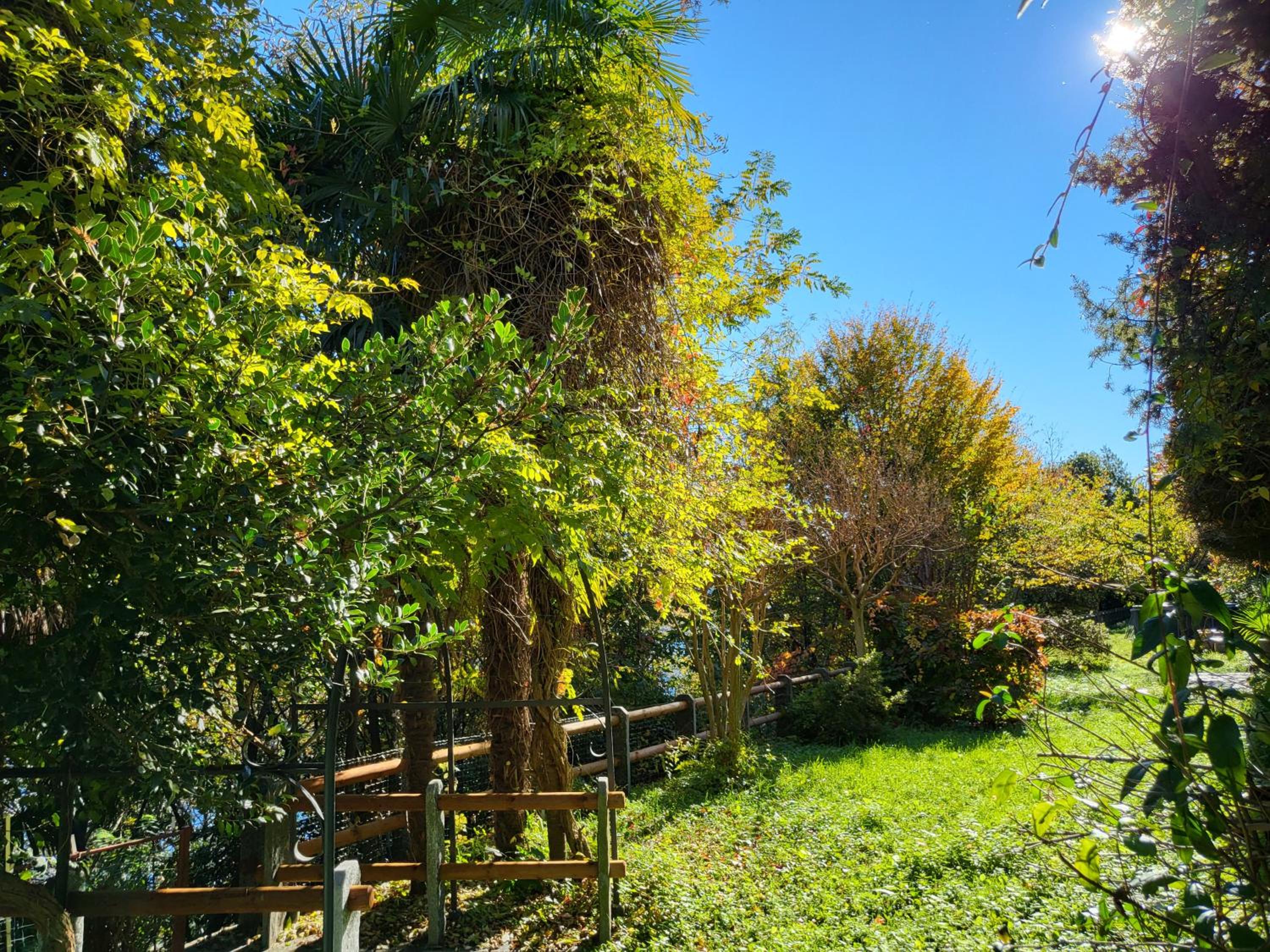 Mid of Nature ' Bella Vista Lago Maggiore charmant mit traumhaften Seeblick, Terrasse und großen Garten photo 5