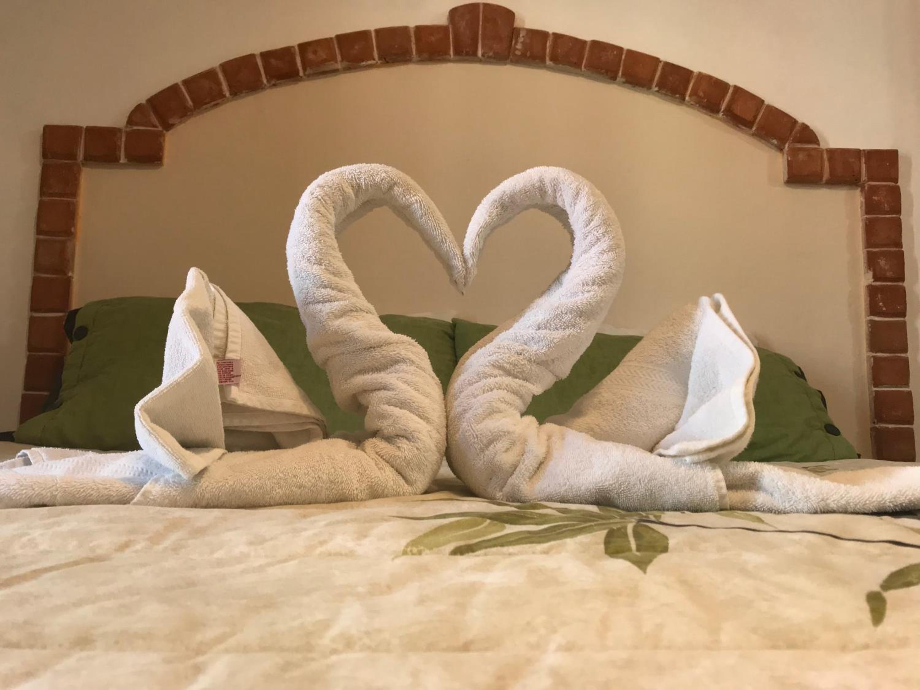 Suites Fenicia