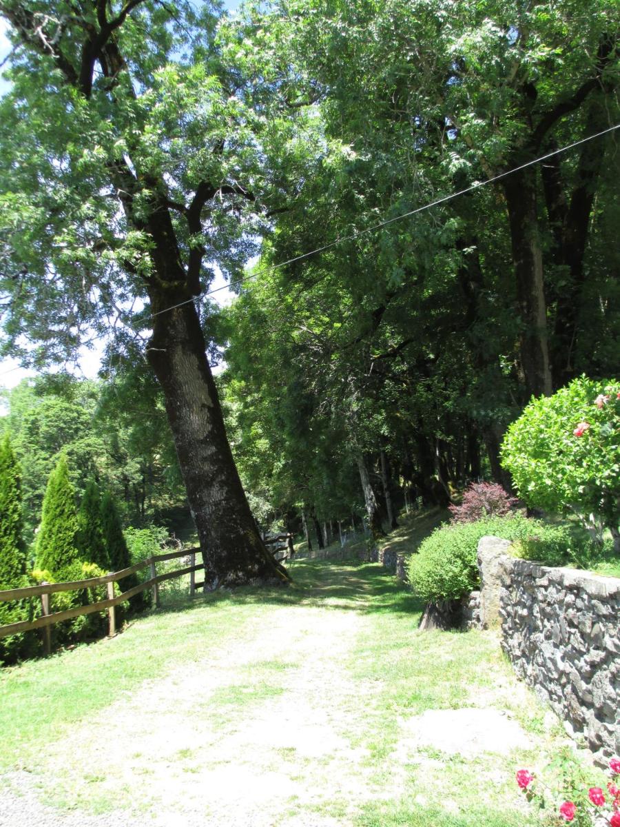 Photo 45