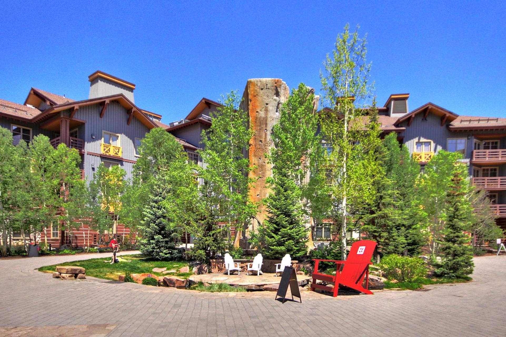 Spacious, Mountain Chic, Close to Ski Lift 1 bedroom - TM316 view 4