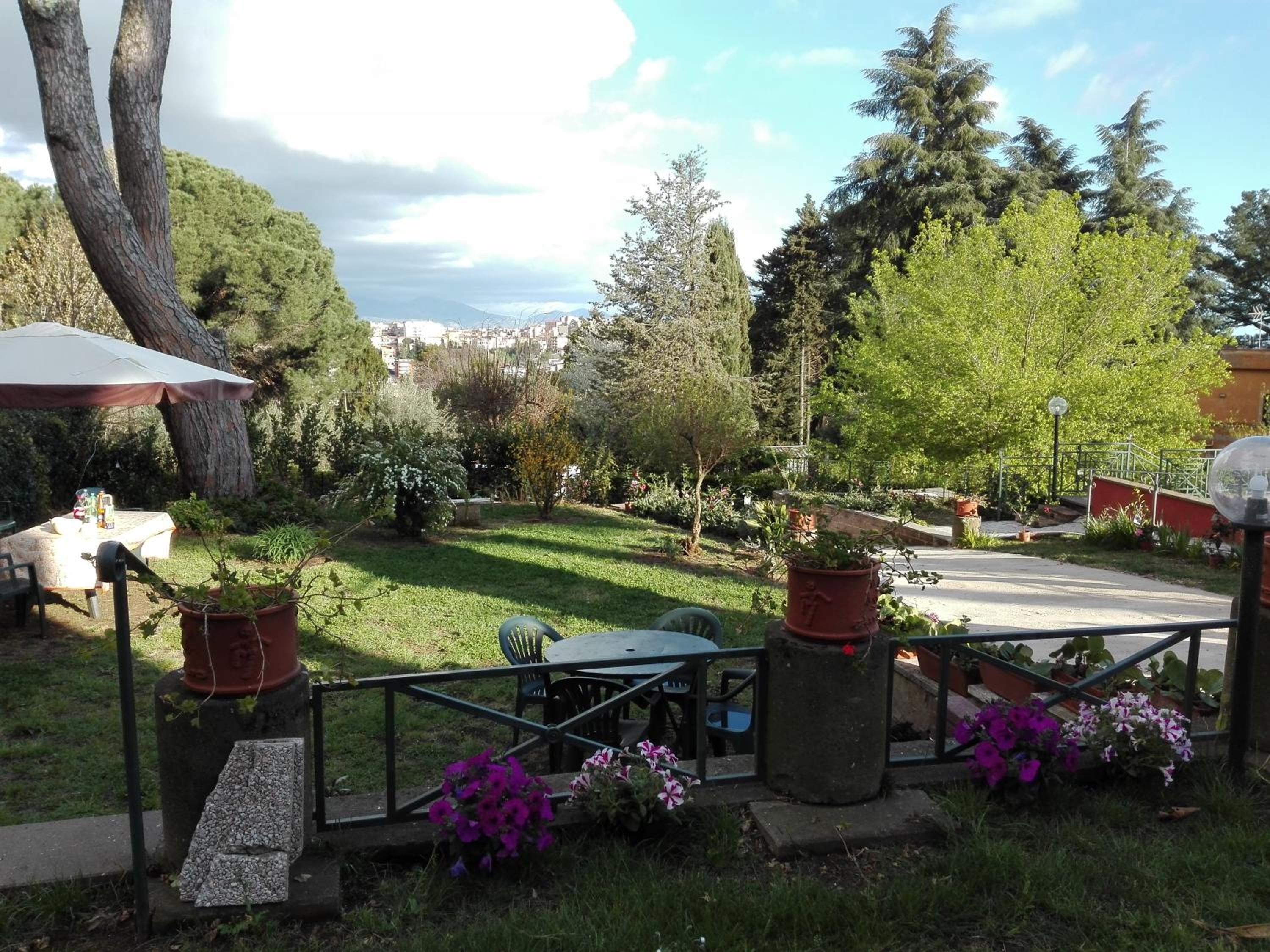 Photo 42