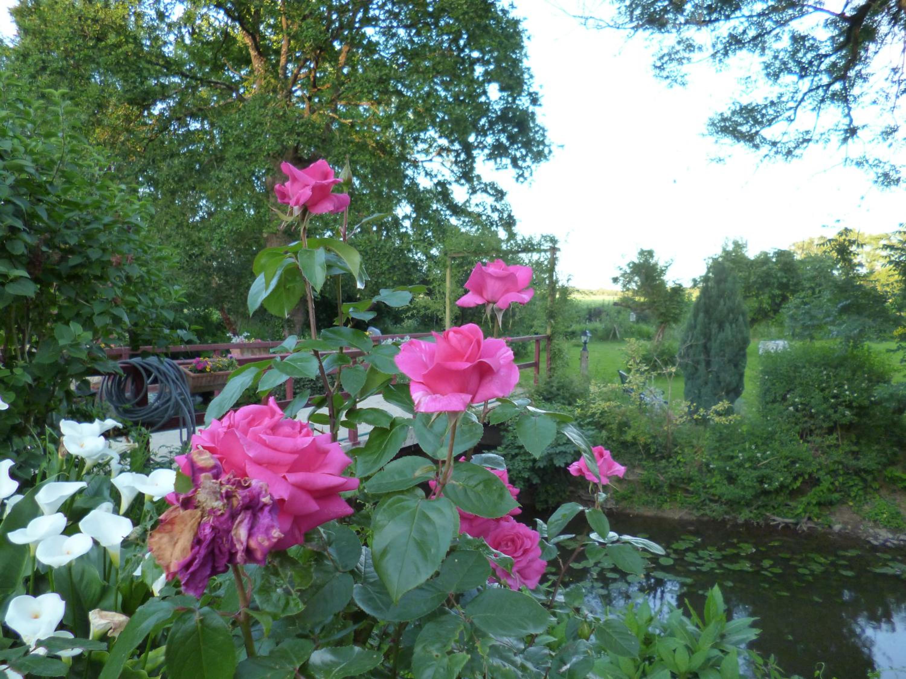 Photo 40