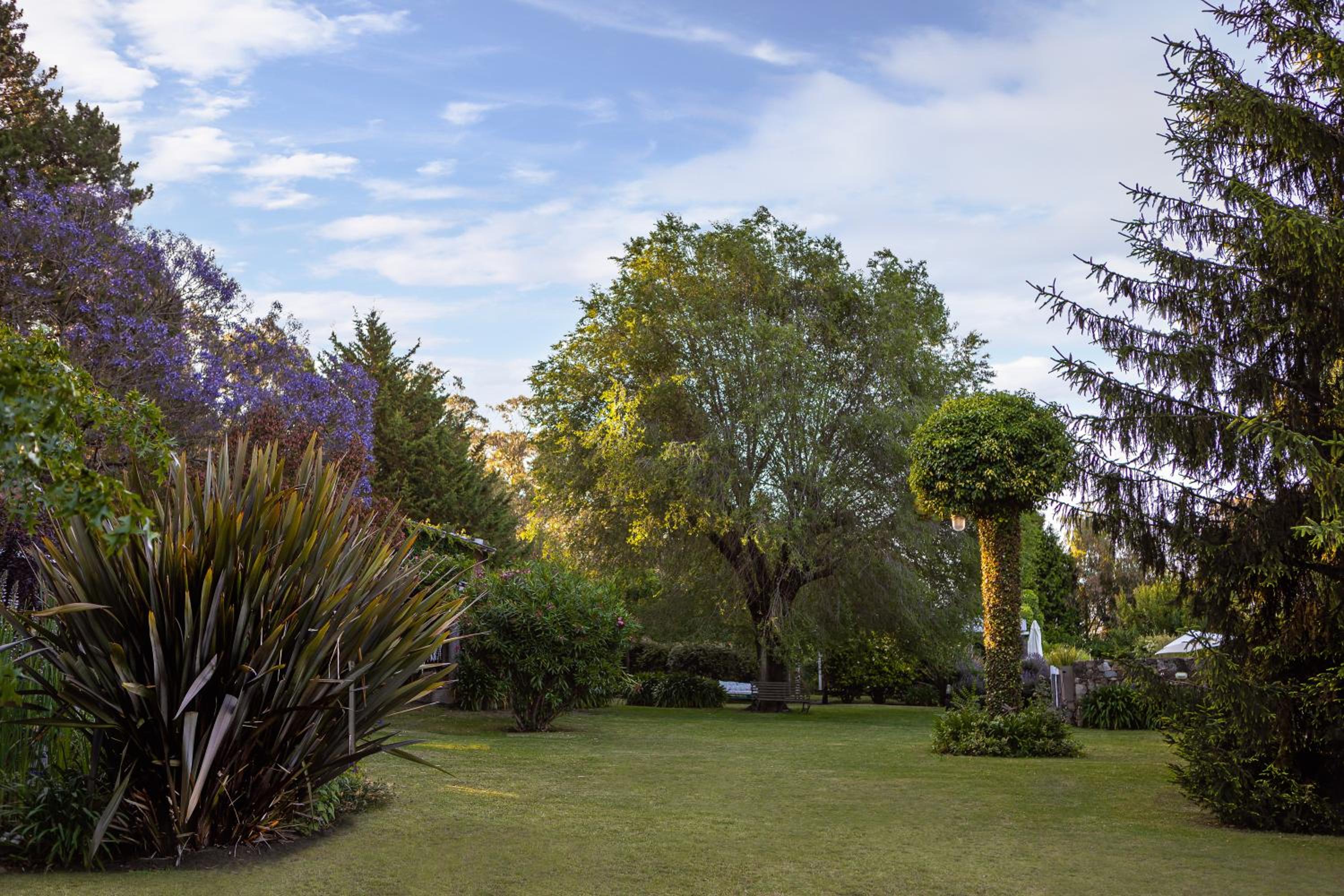 Cabañas La Escondida