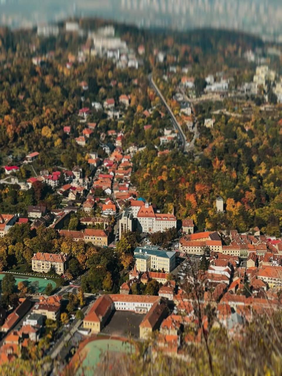 Chic Studio Brasov view 5