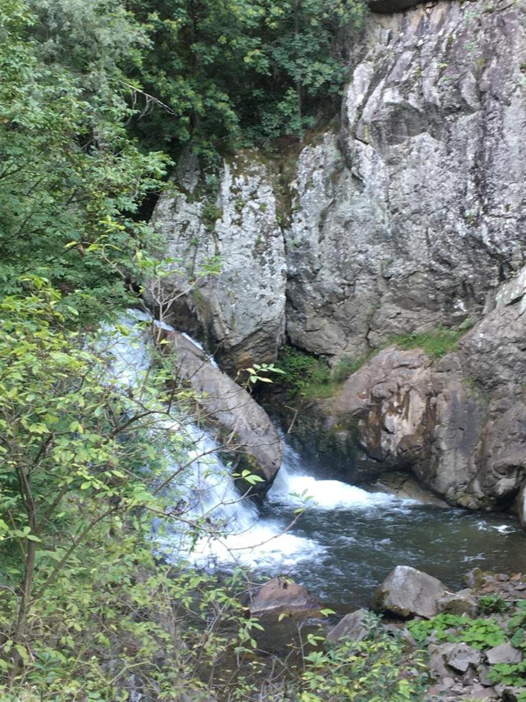 Photo 47