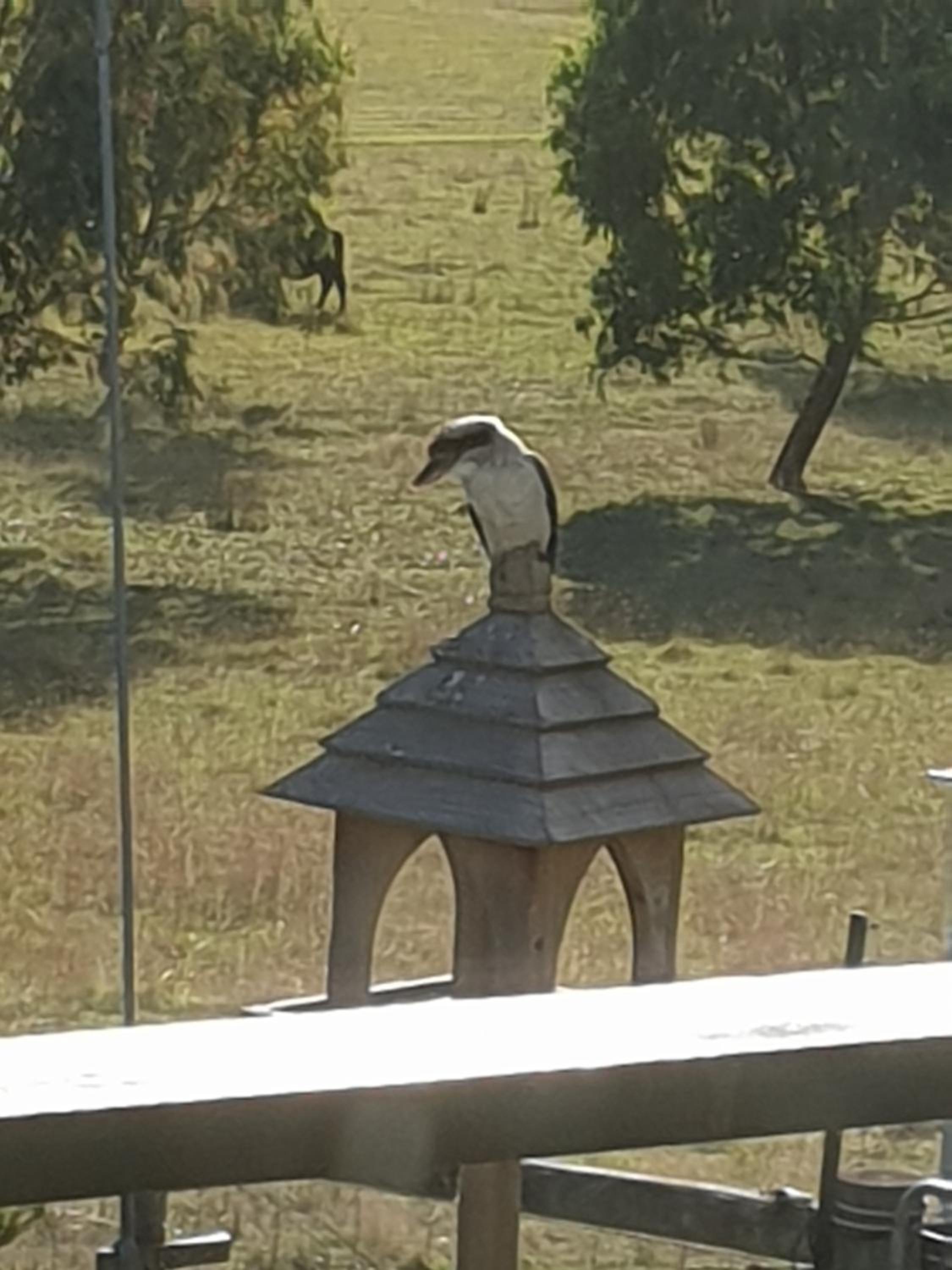 Emu Lodge Country Retreat