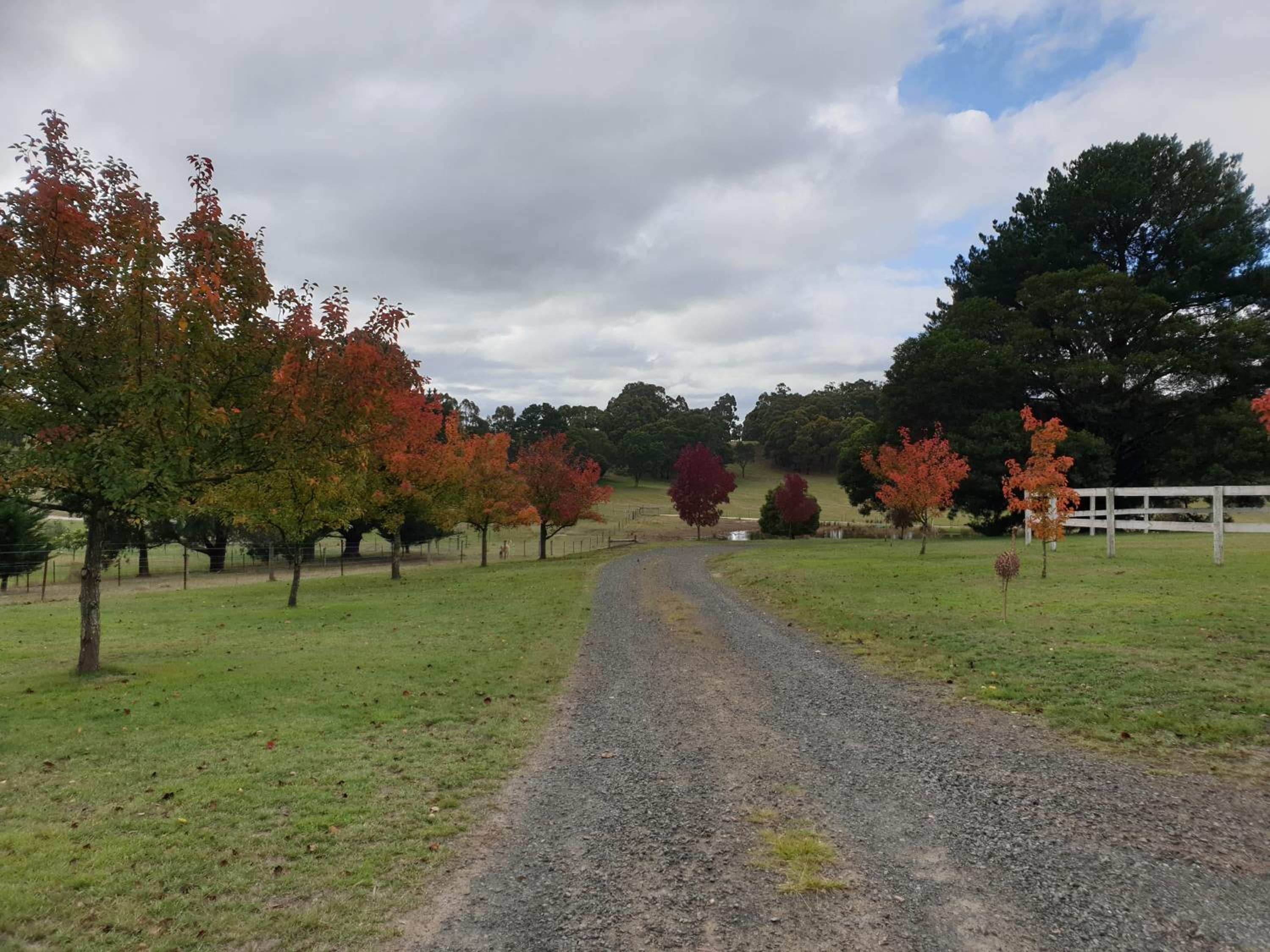 Emu Lodge Country Retreat