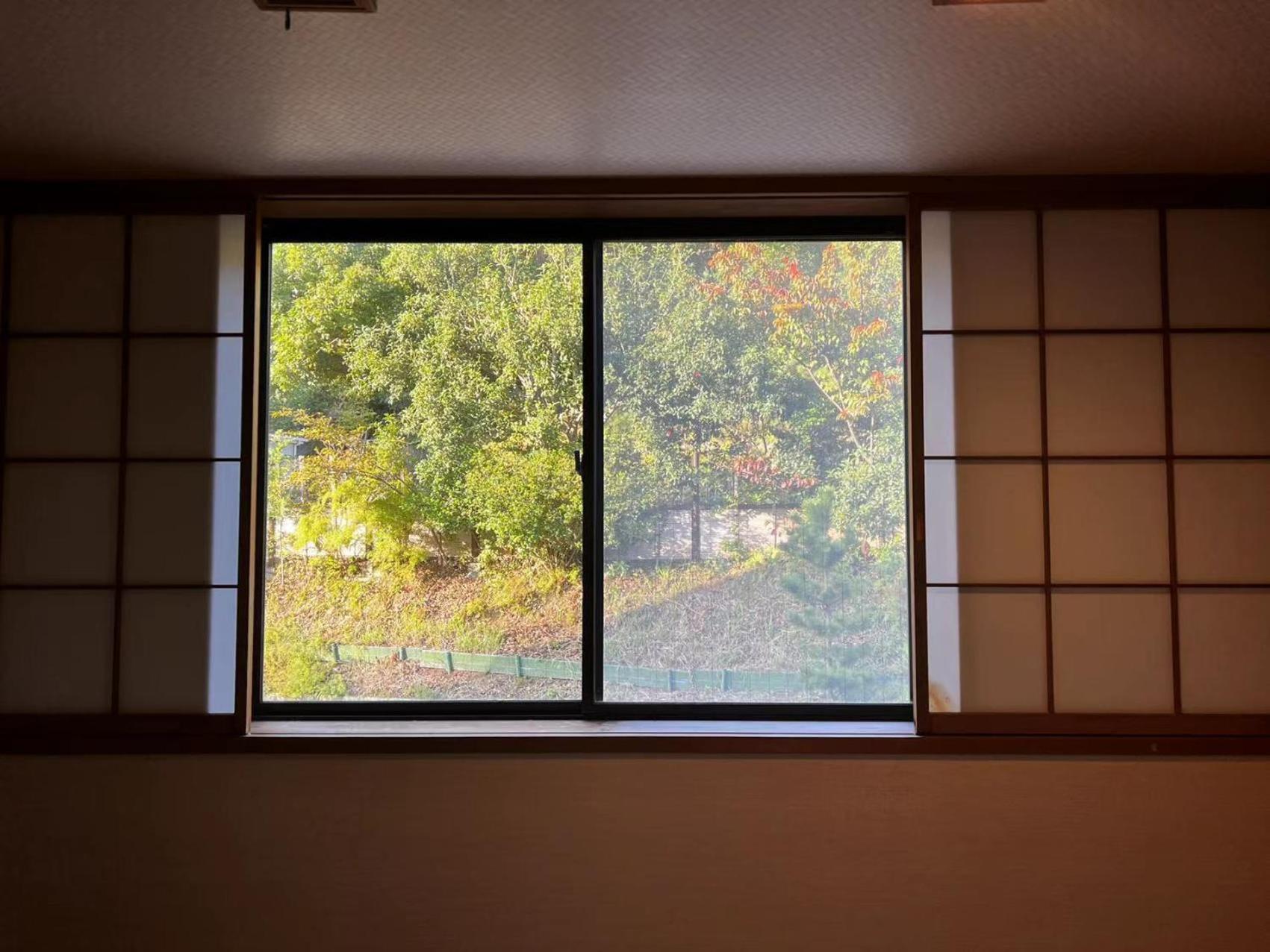 雅竹Miyabitake