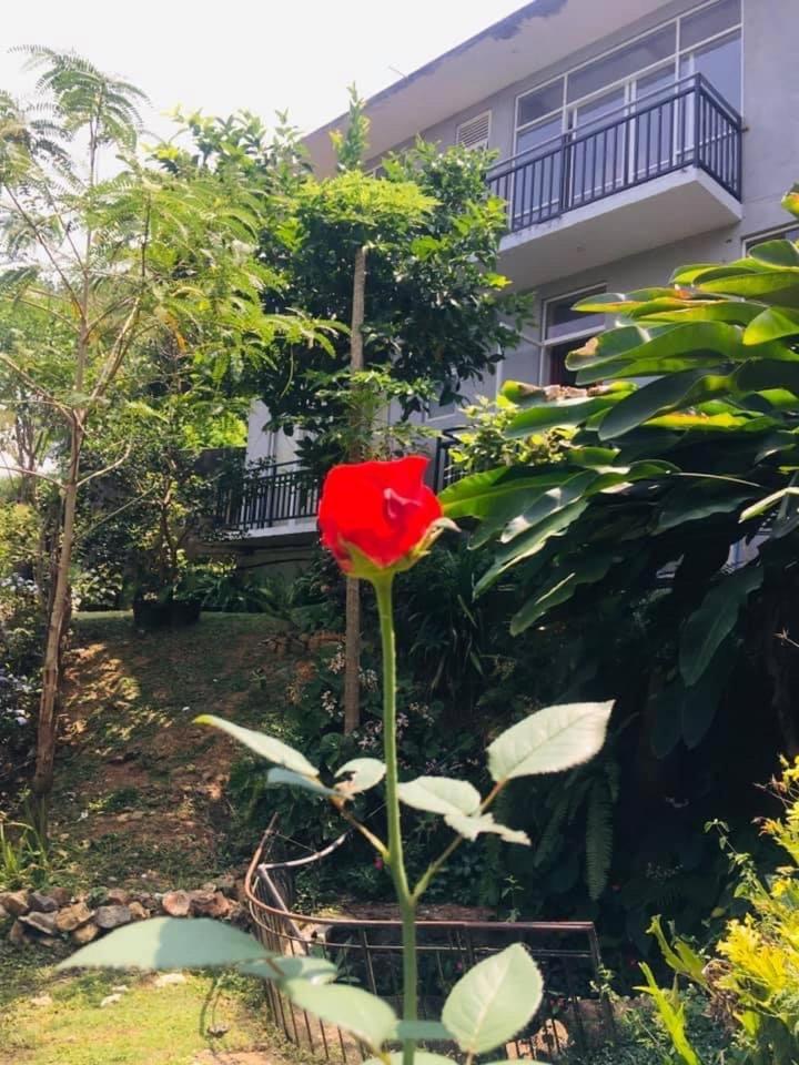 kandy hill villa