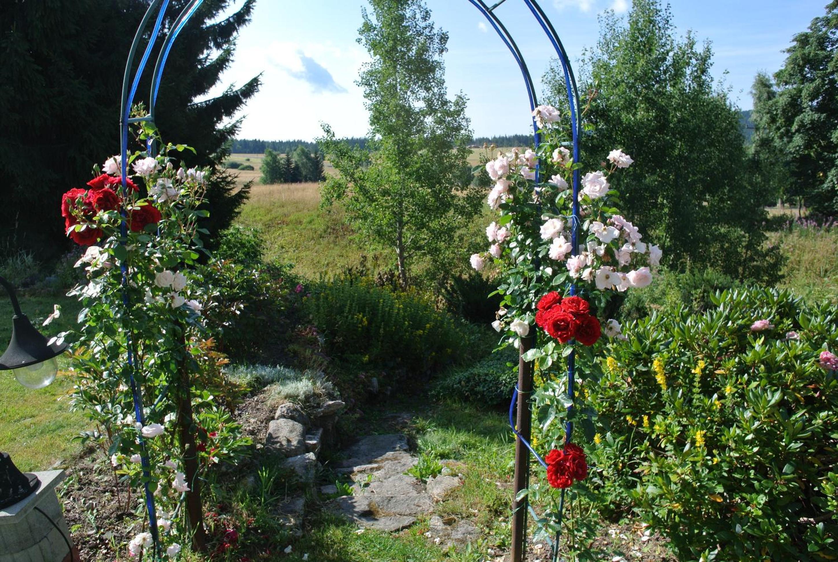 Apartmany Nemo view 5