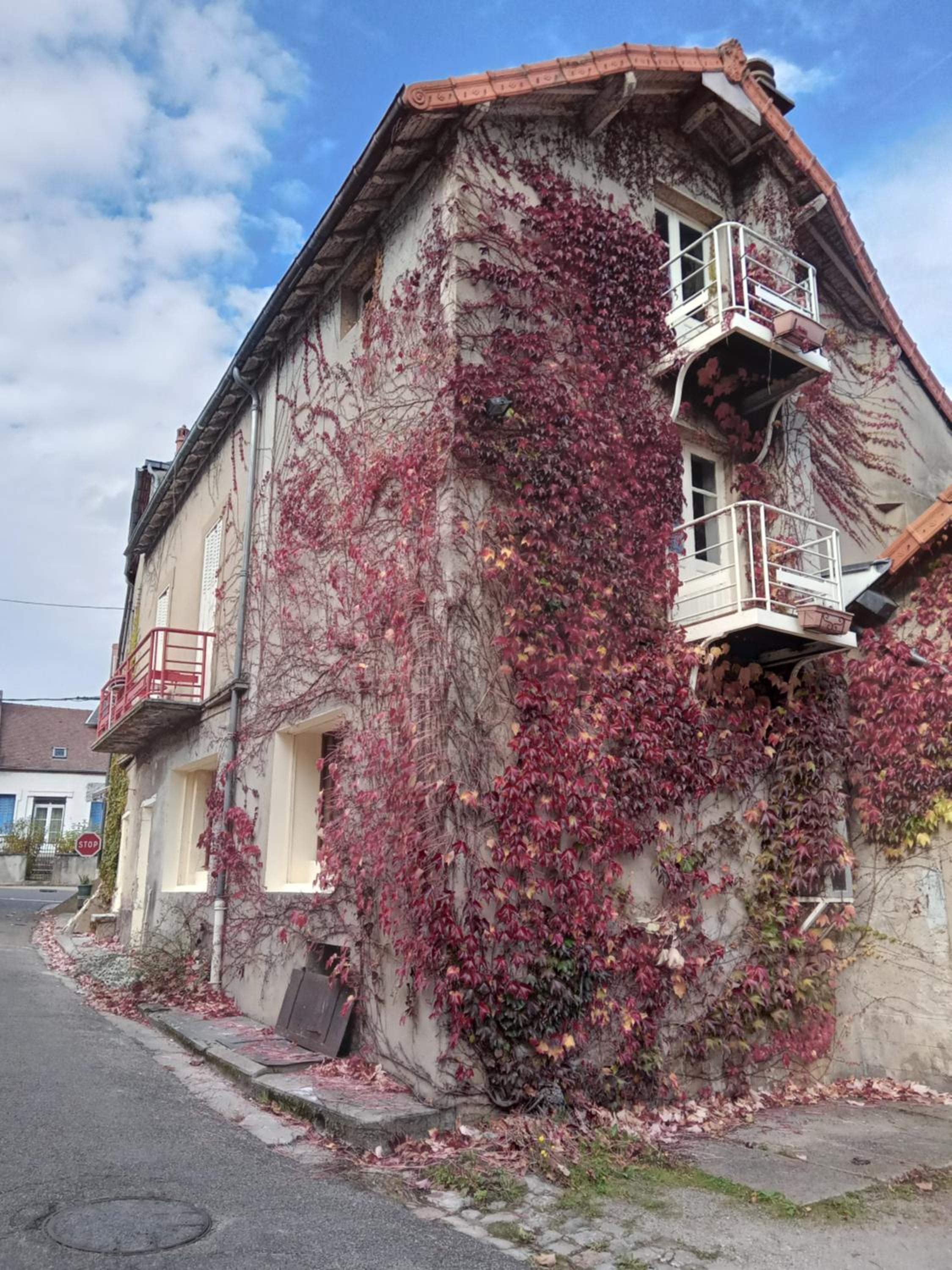 Photo 26