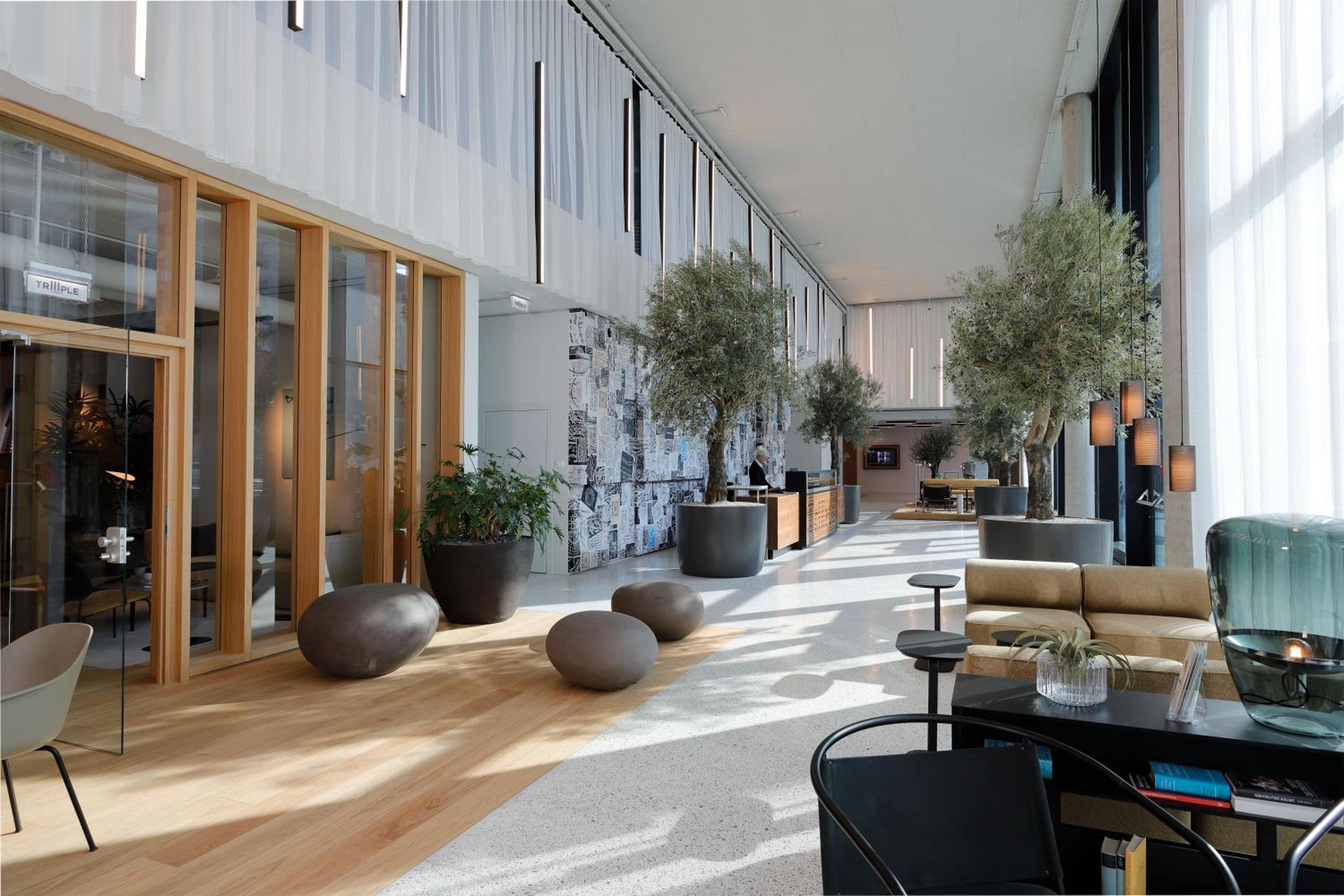 recepcion & lobby