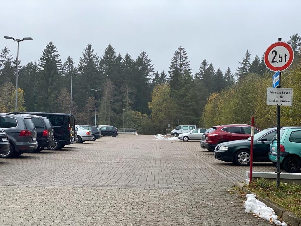 Schwarzwald Wohnung Kniebis view 3