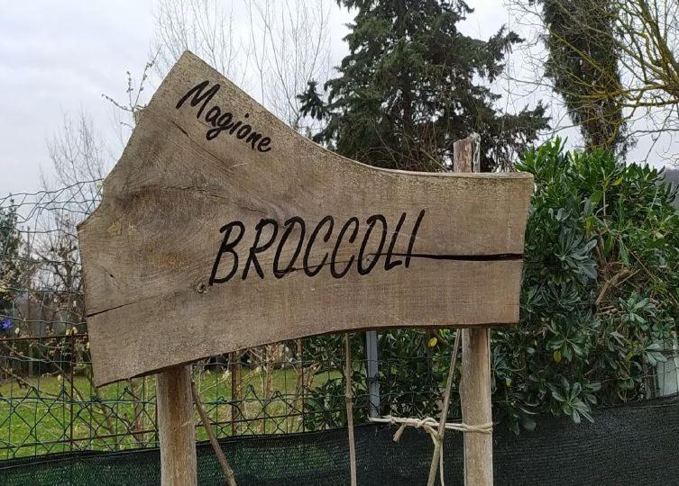 Magione Broccoli