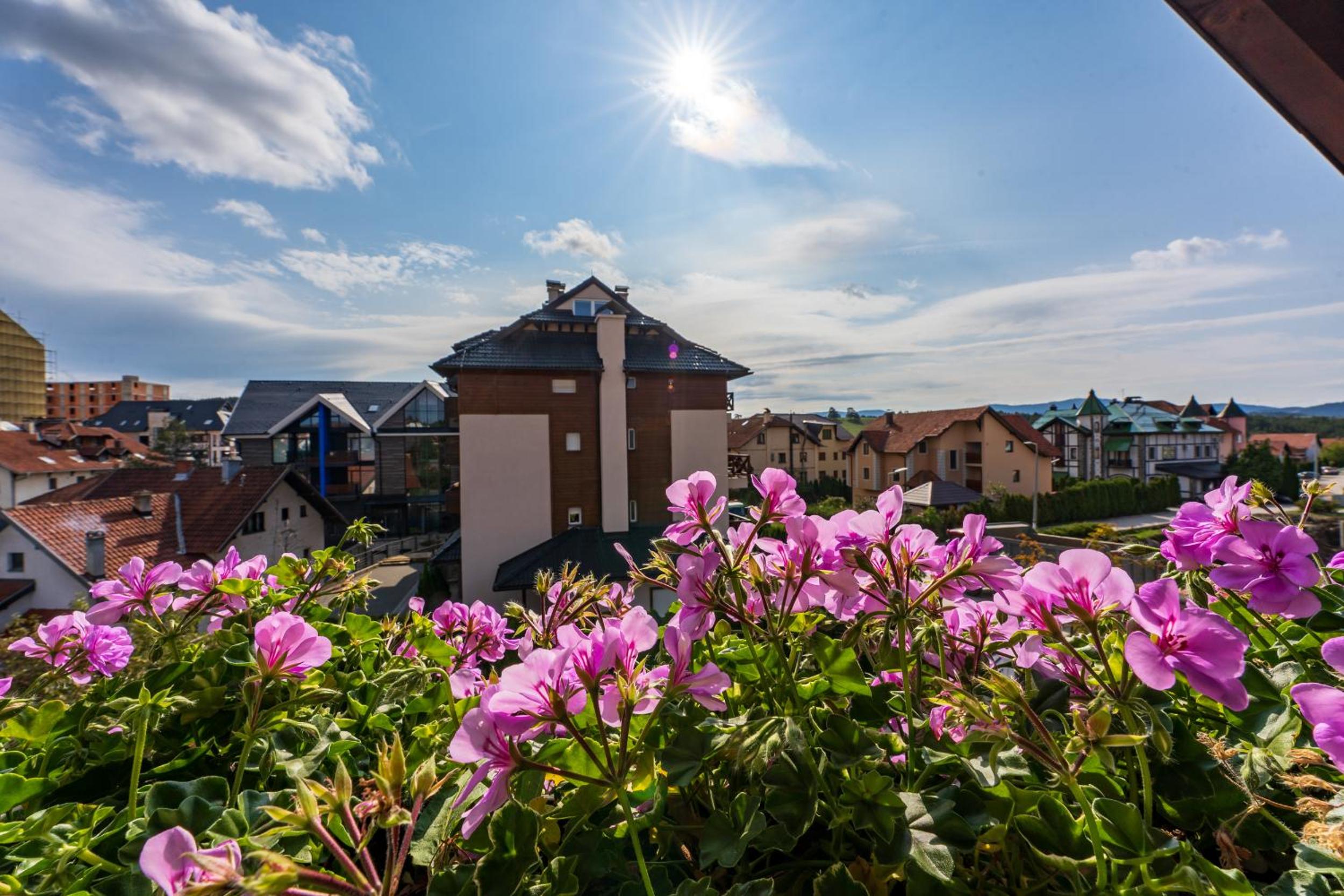Vila Narcis Zlatibor view 4