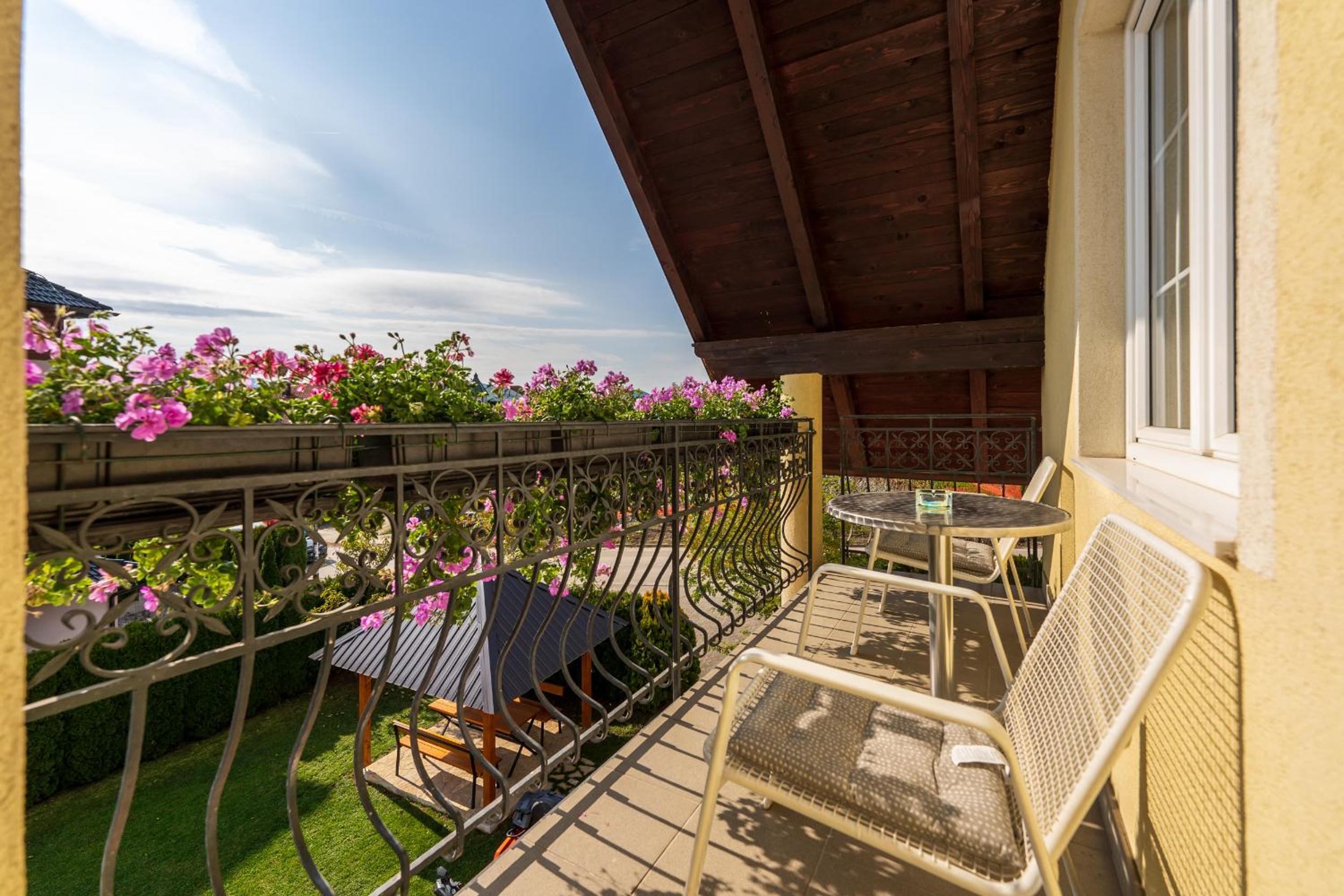Vila Narcis Zlatibor view 3