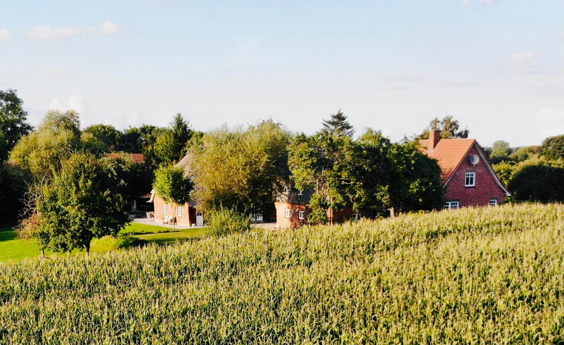 Hof Goosend - Urlaub an der Ostsee & Schlei