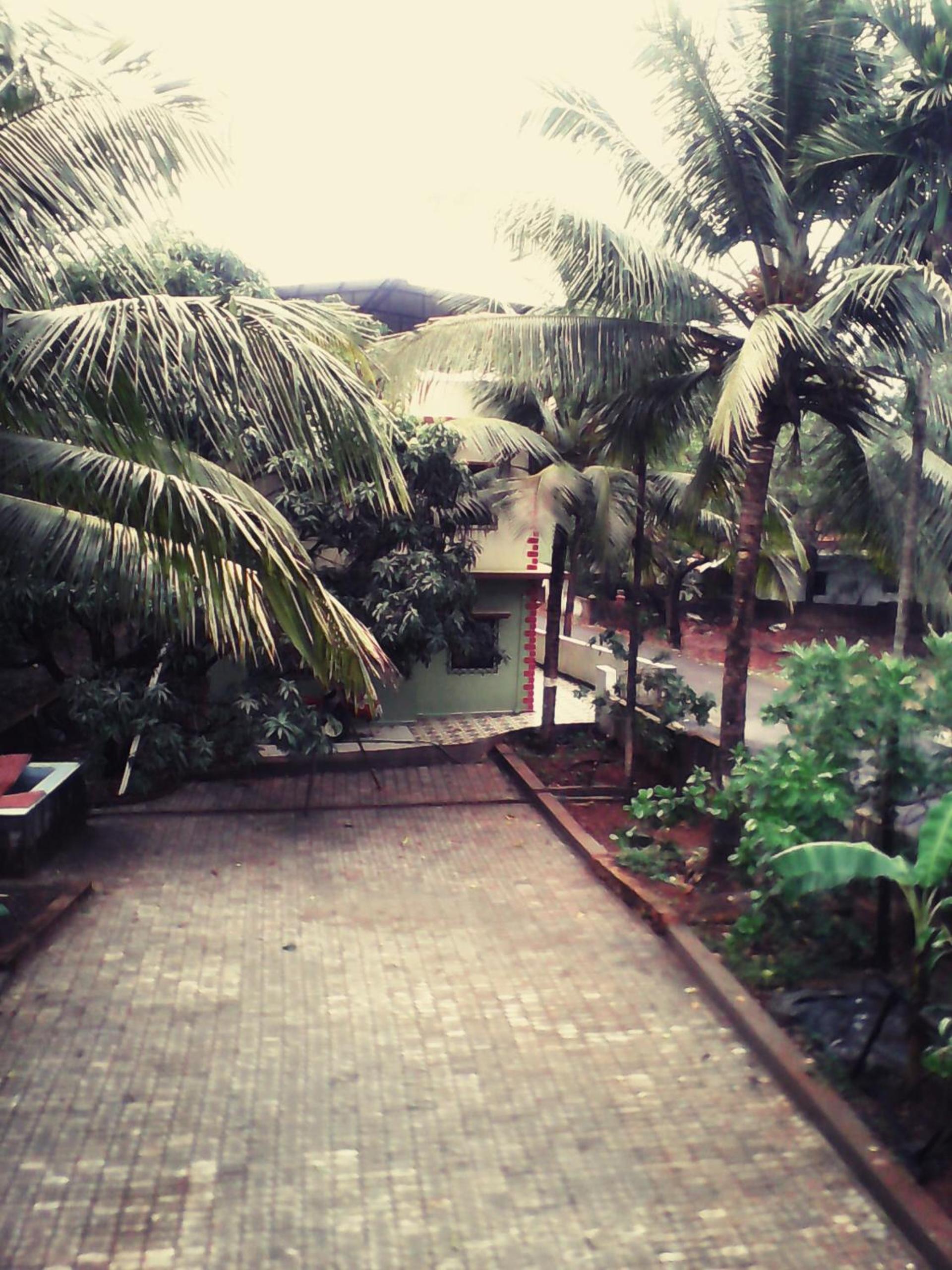 Swastik inn view 2