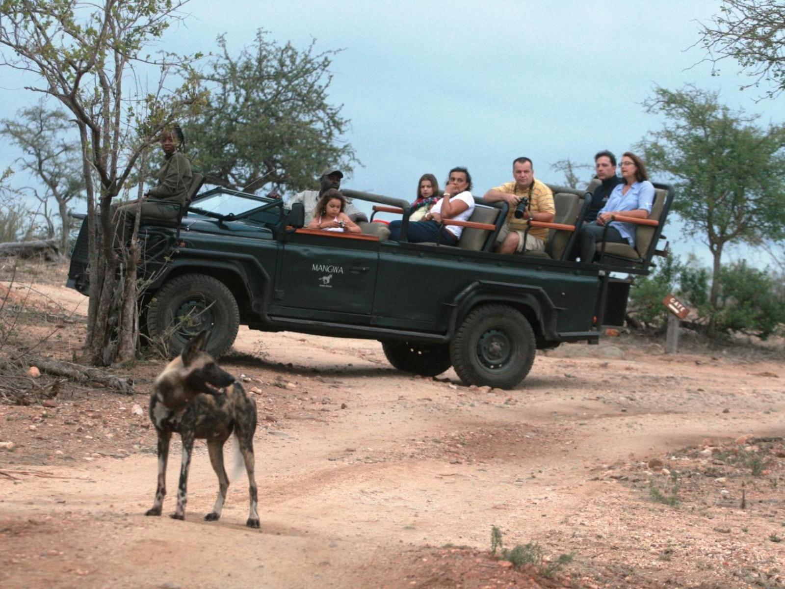 Zazu Private Bush Lodge, Formerly Masodini view 5