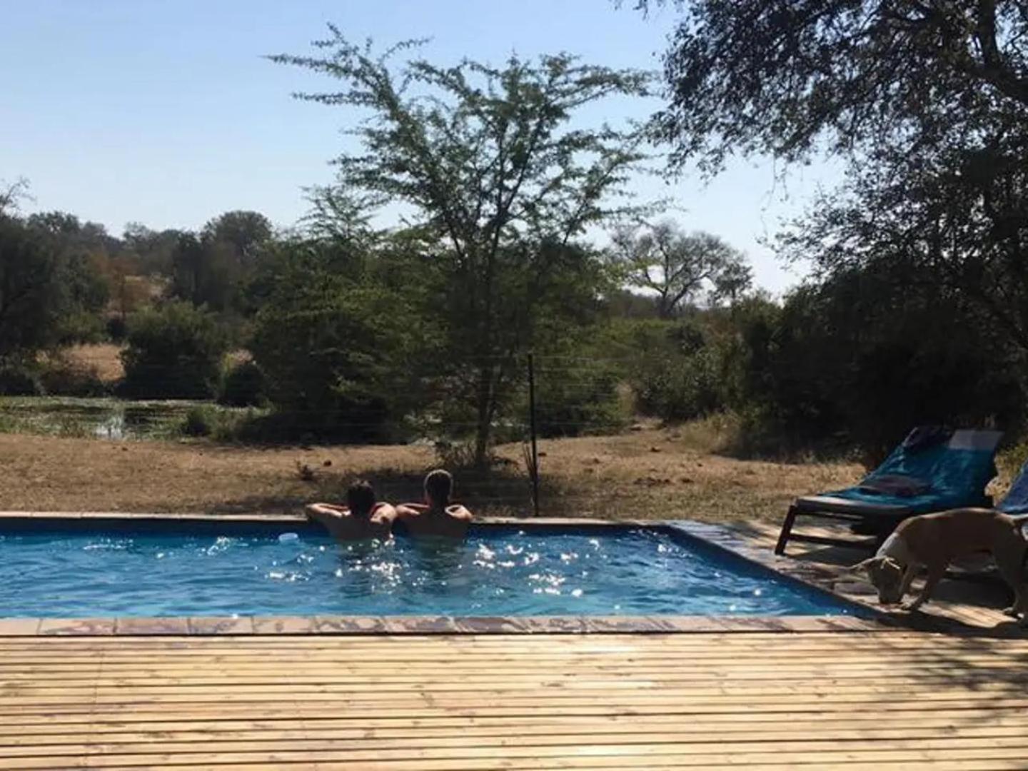 Zazu Private Bush Lodge, Formerly Masodini view 3
