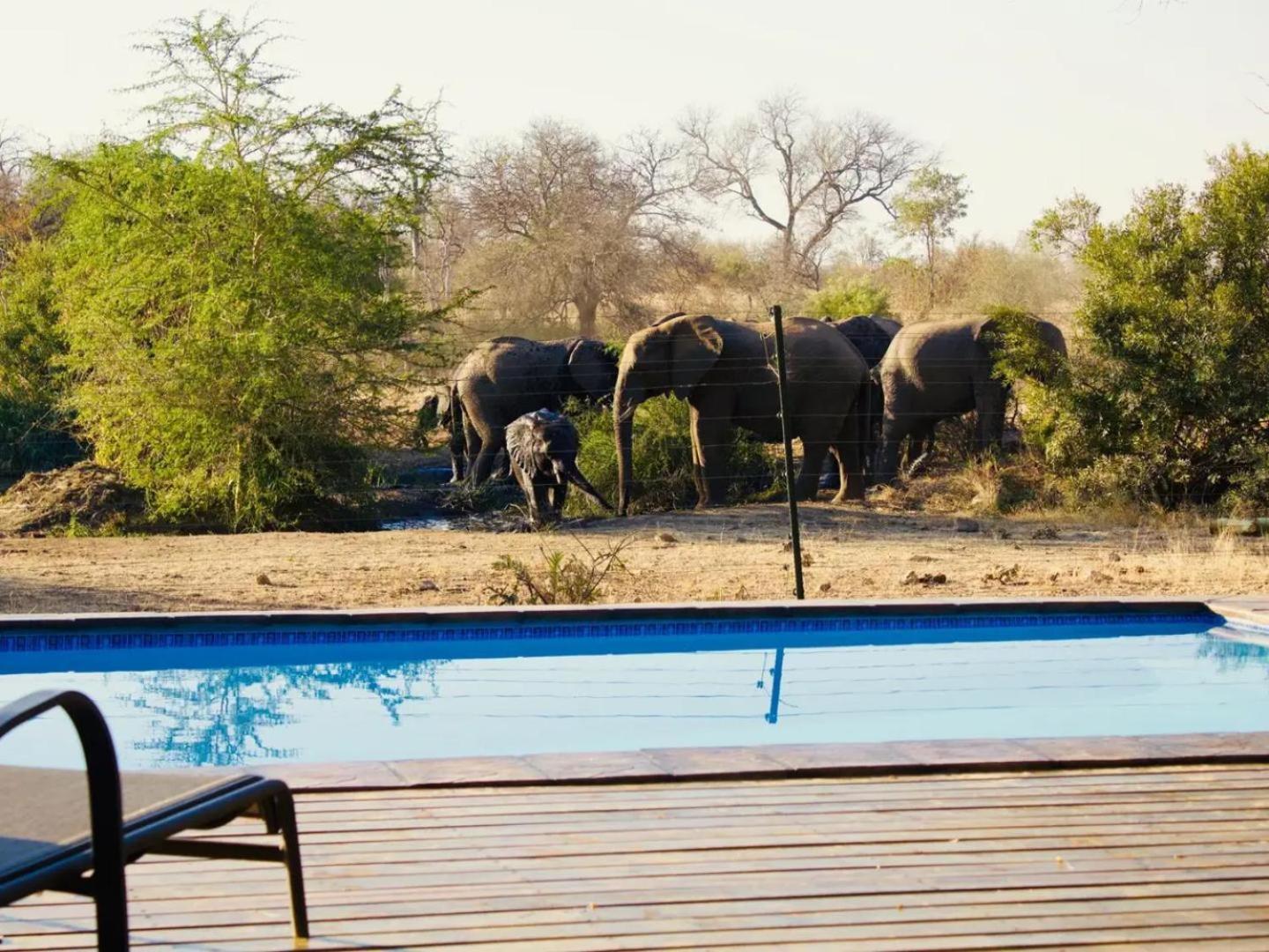 Zazu Private Bush Lodge, Formerly Masodini view 2