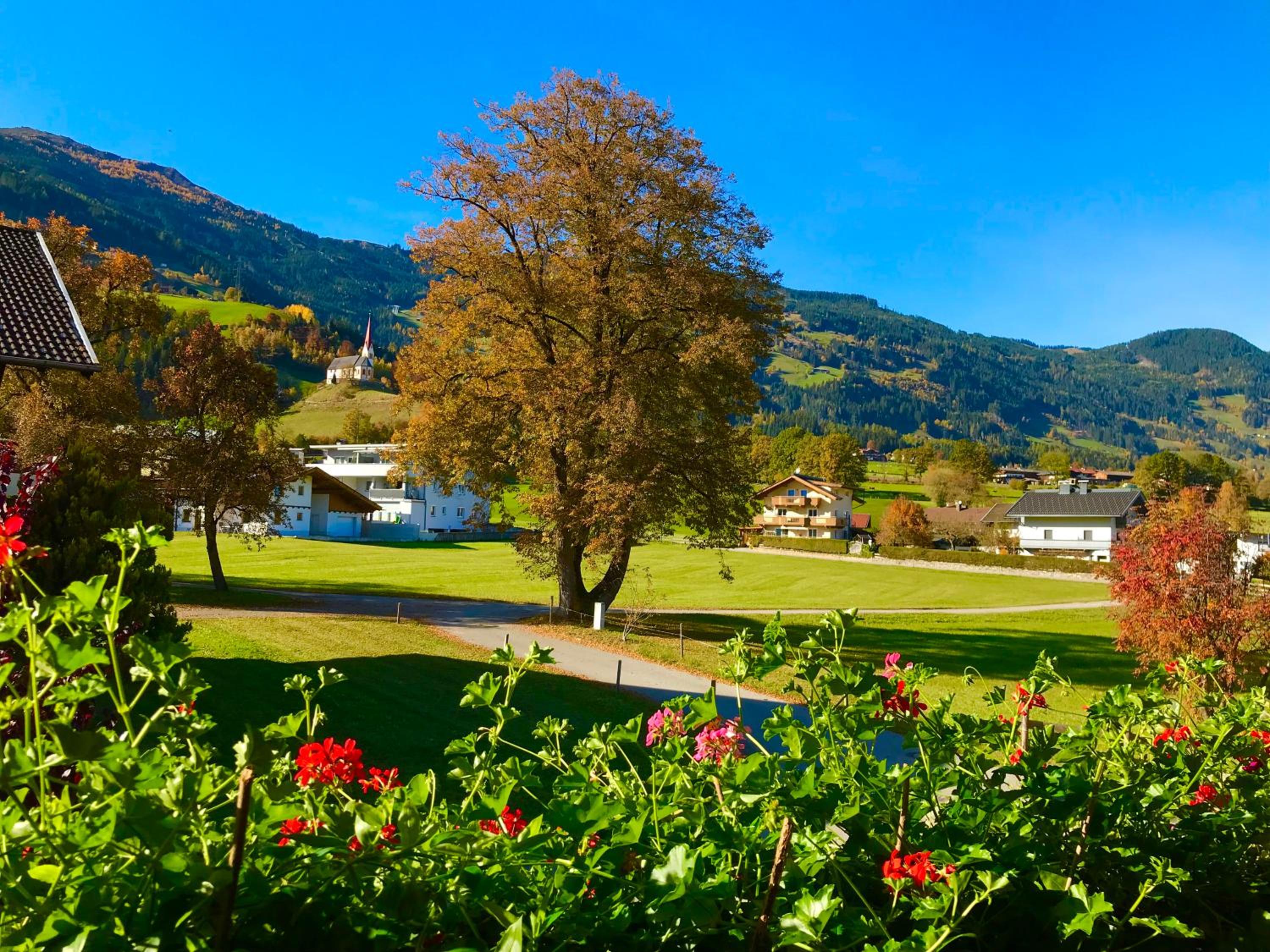 Ferienwohnungen Luxner view 3