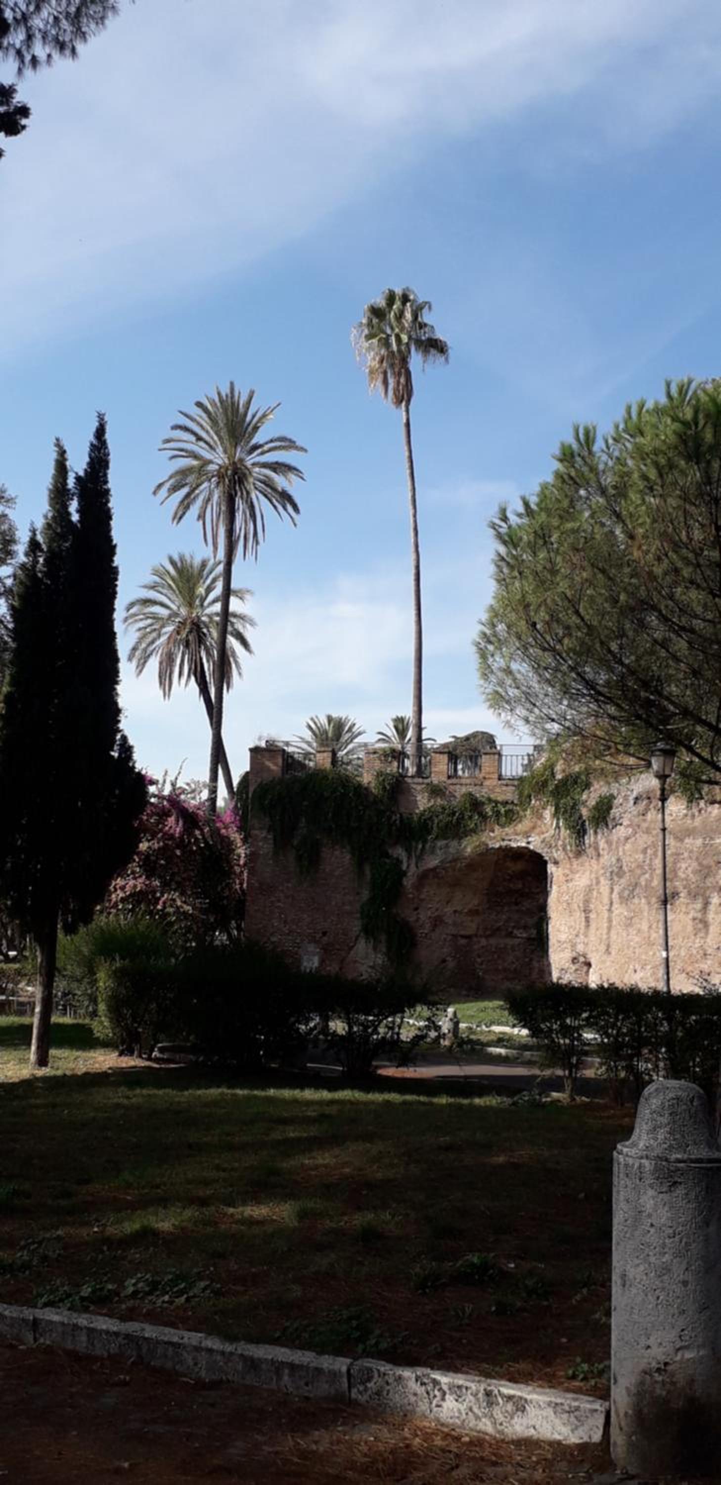 Gioia Guest House