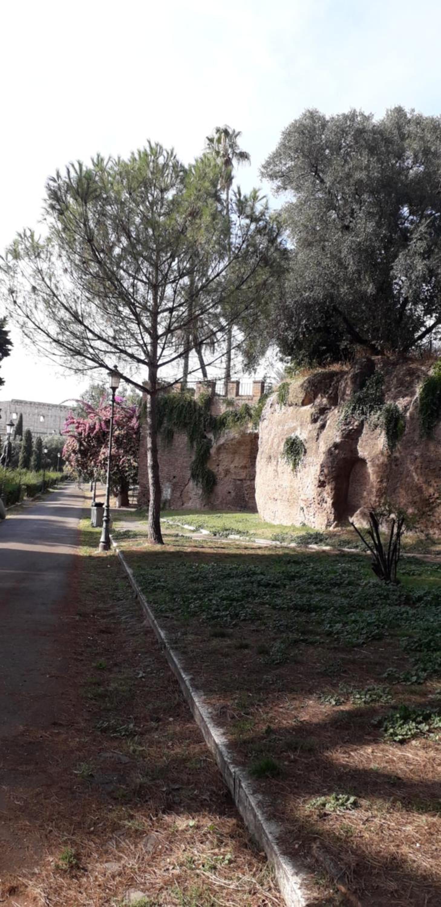 Gioia Guest House