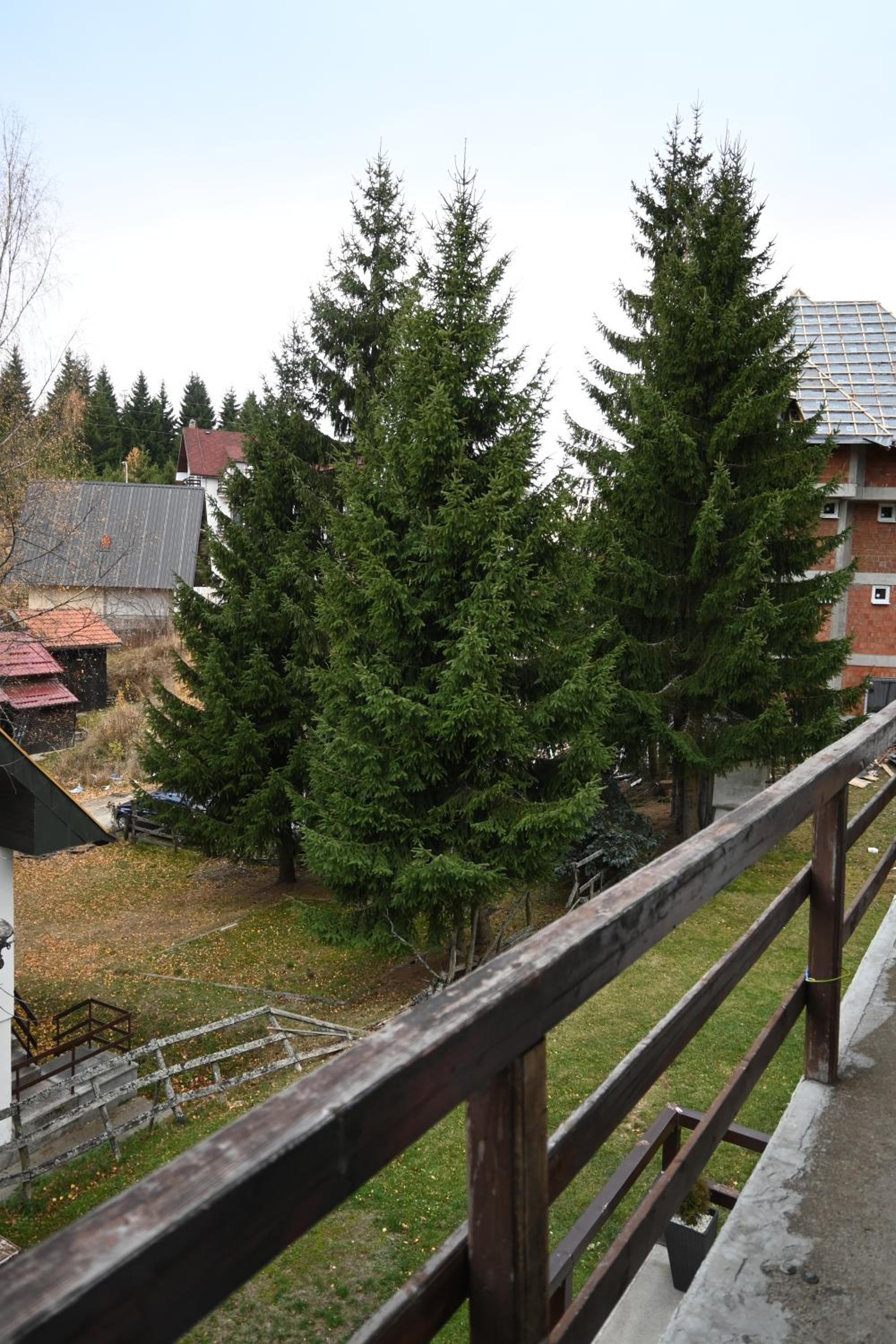 Photo 41