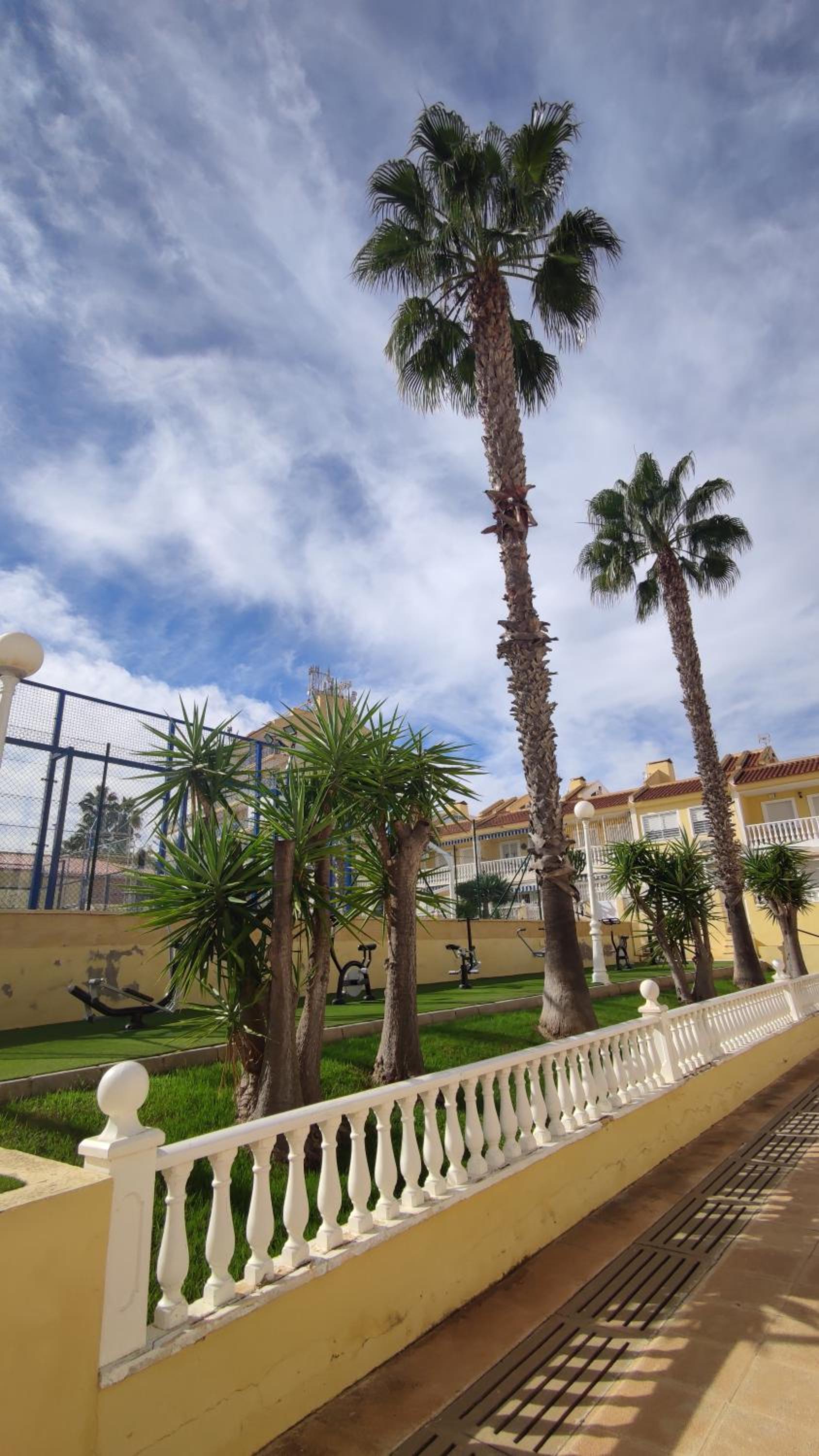 Sunny Time La Mata view 2