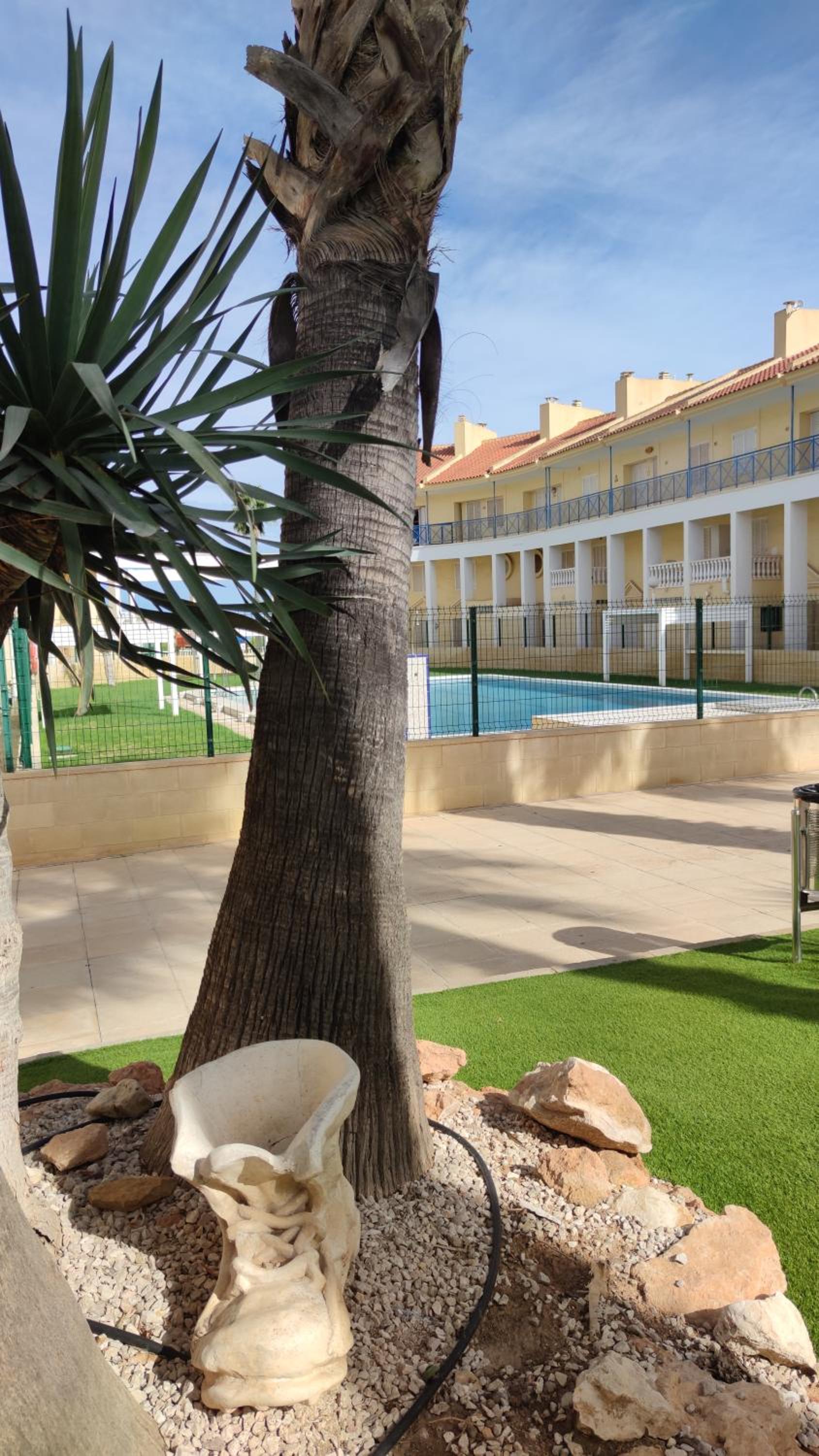 Sunny Time La Mata view 4