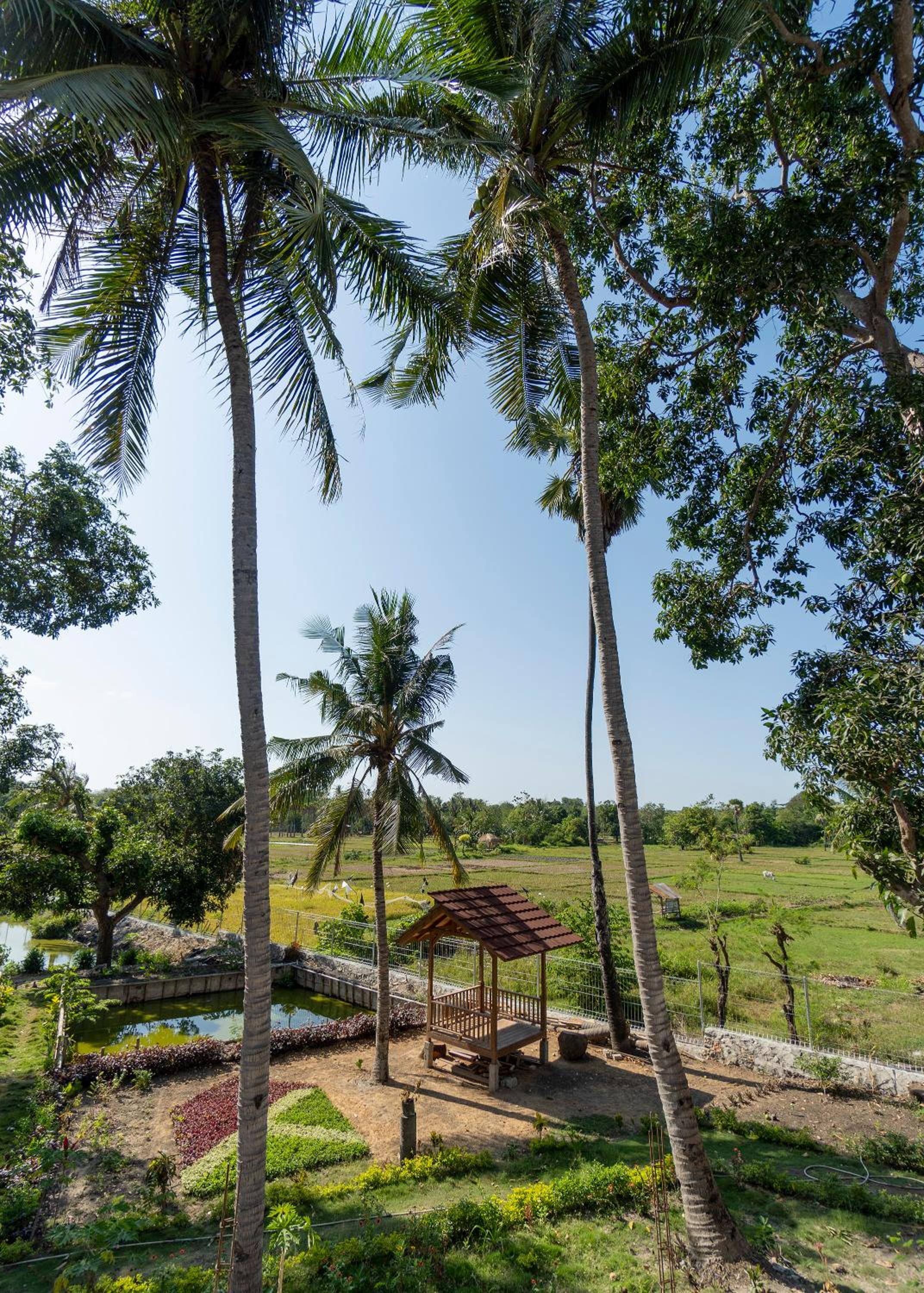 Casa Kandara, photo 29